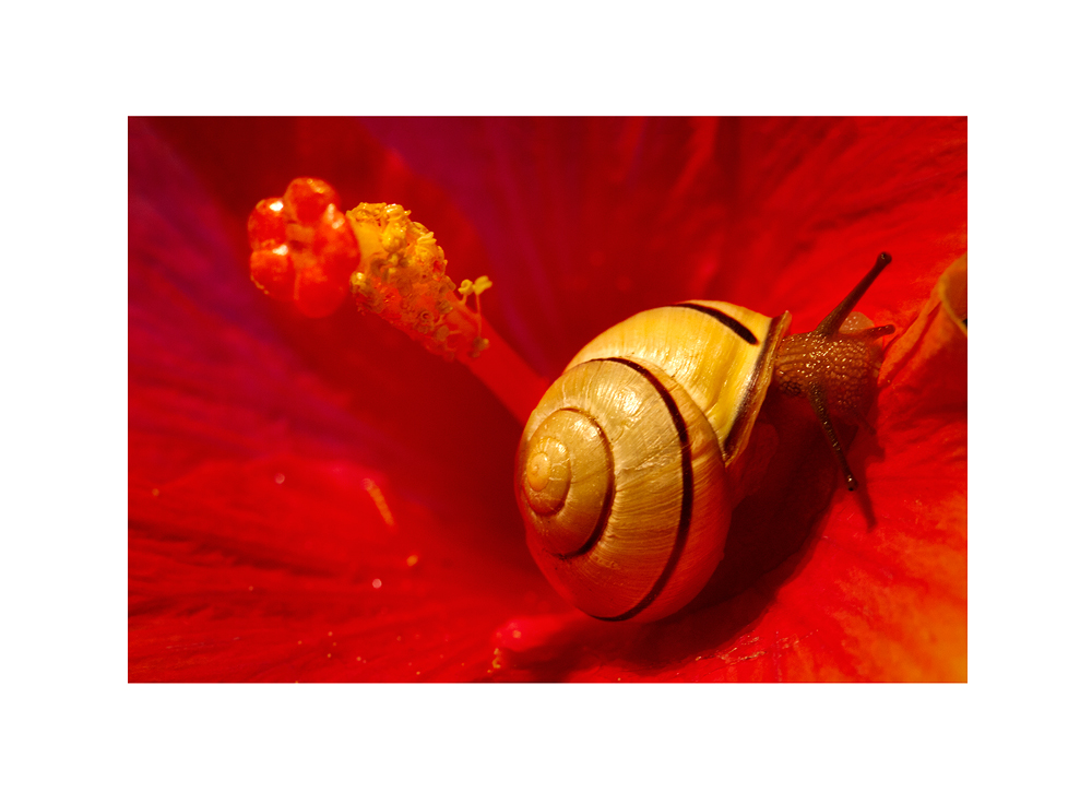 Slipping between the colors