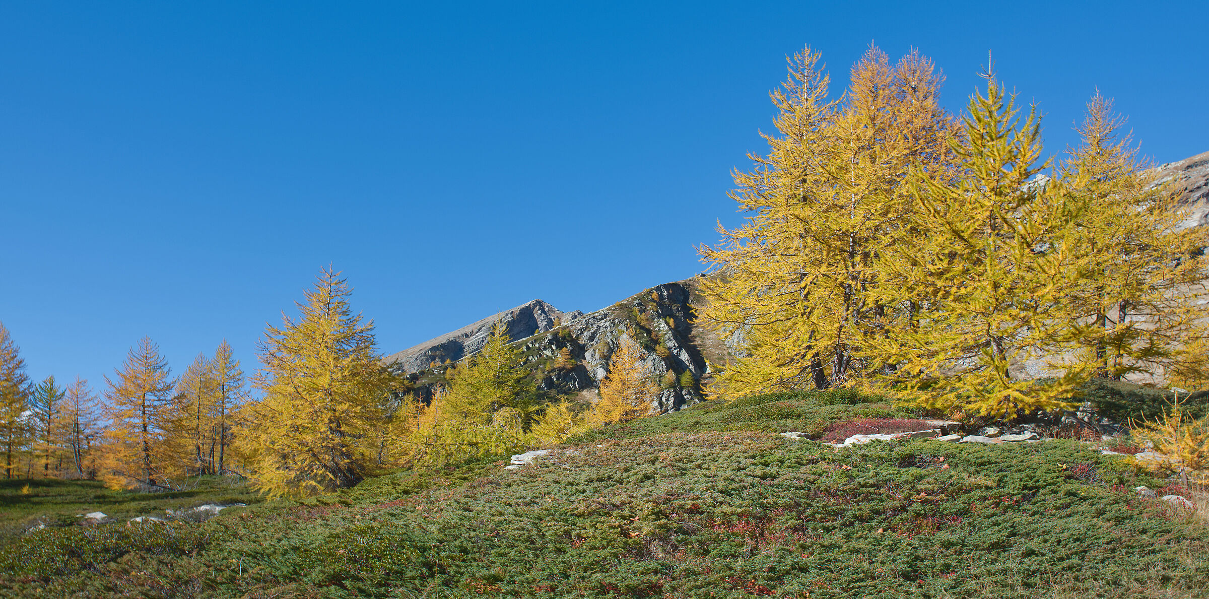 Alta Val Bognanco - the colours of autumn