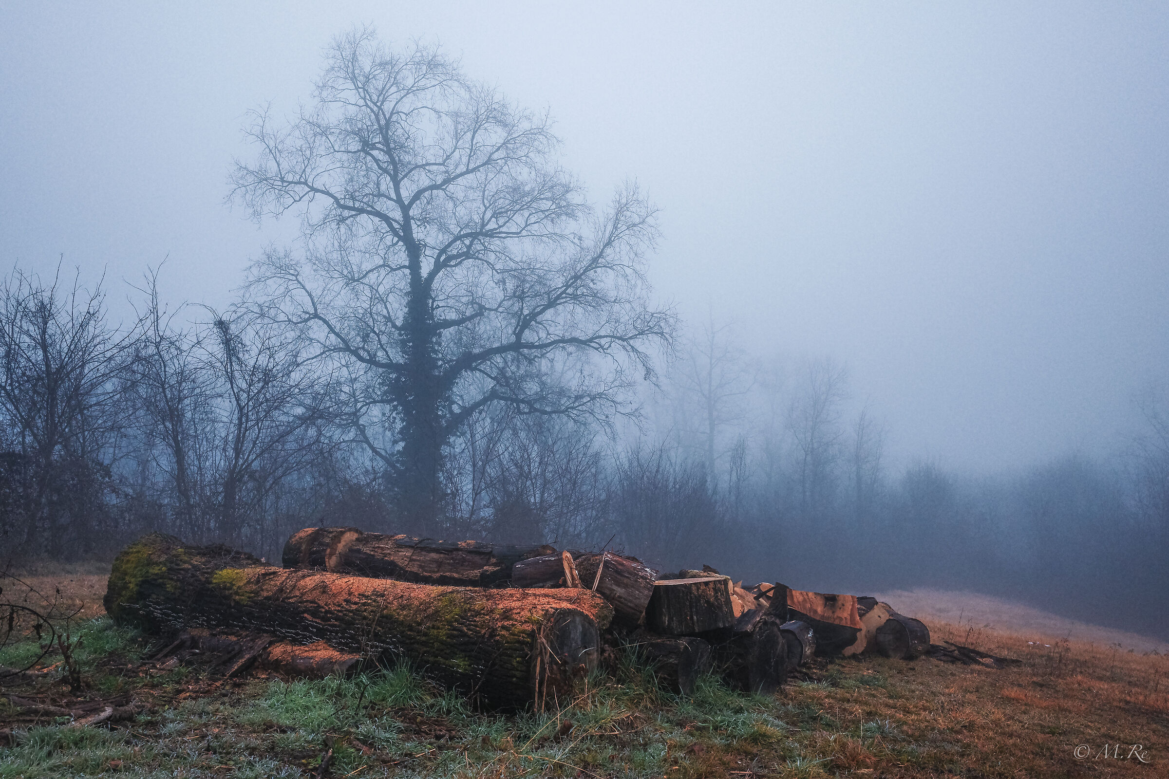 Cold and fog