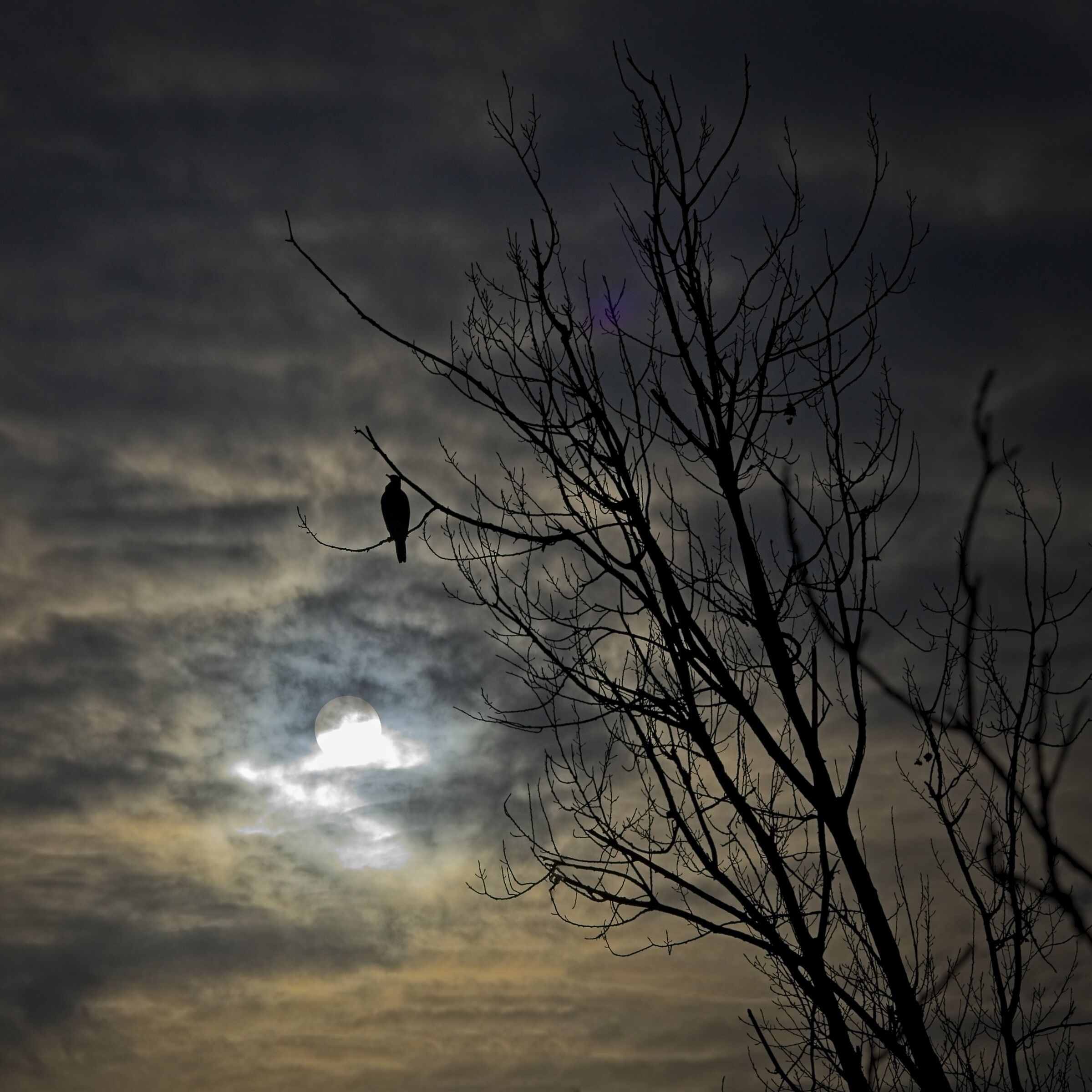 A night morning