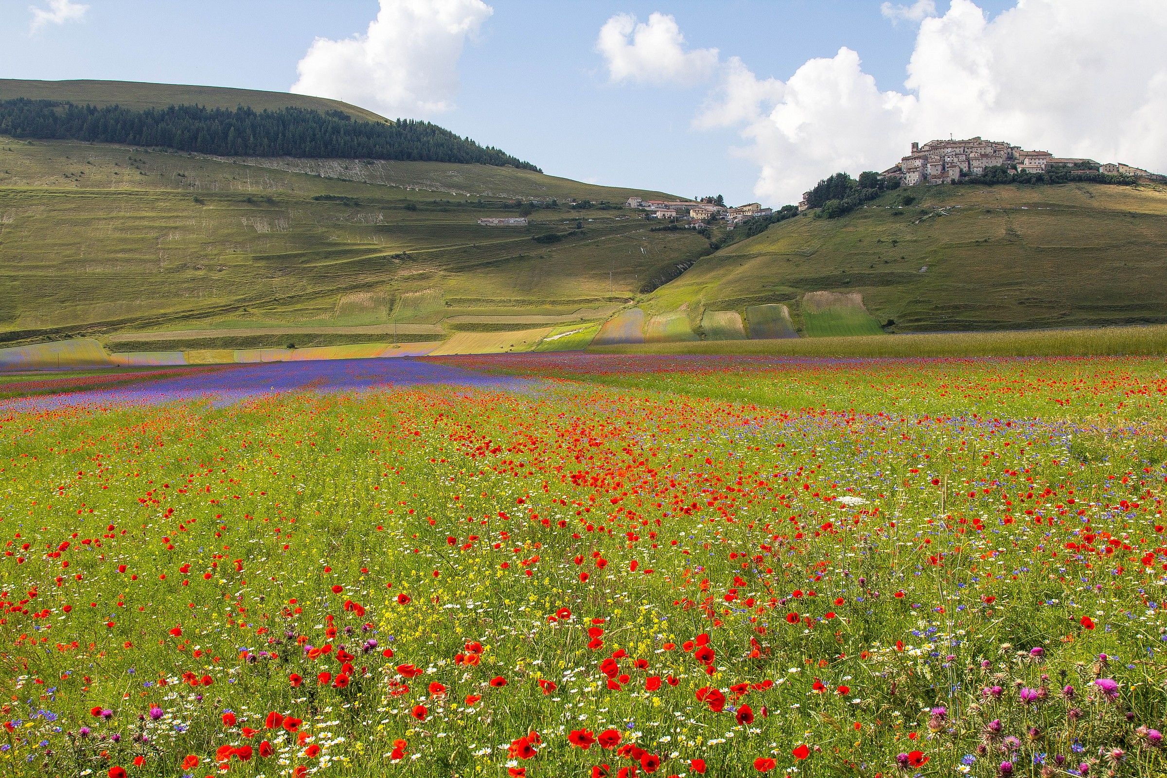 Castelluccio 1