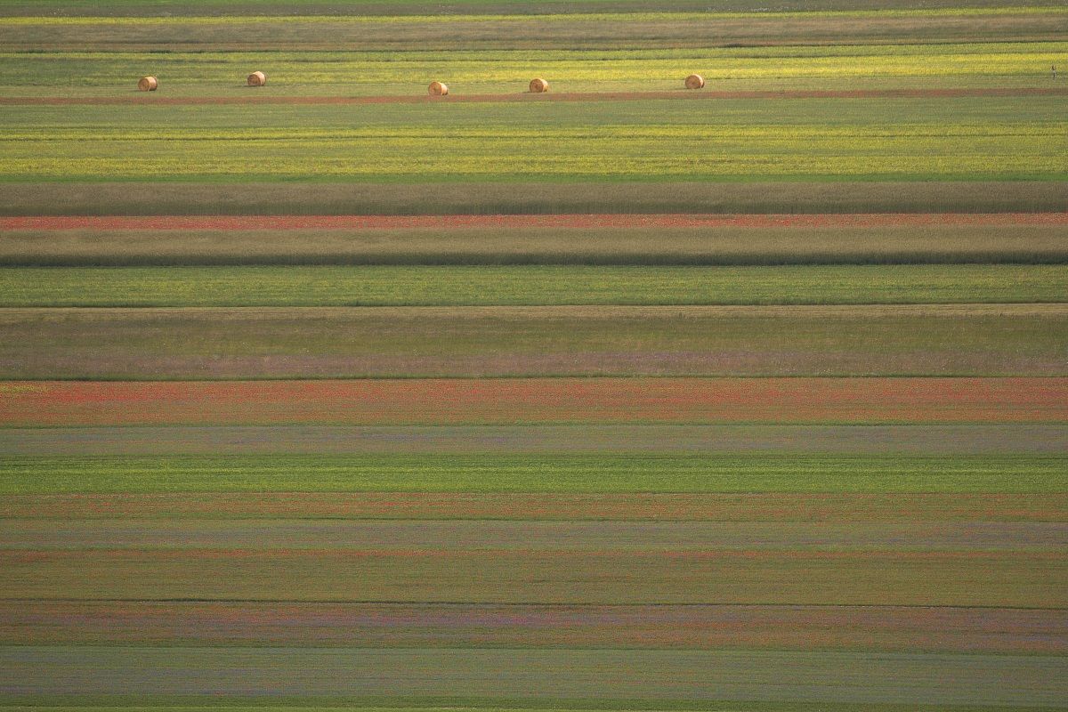 Castelluccio 3 - mazzetta colori