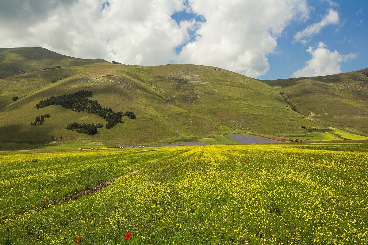 Castelluccio 6