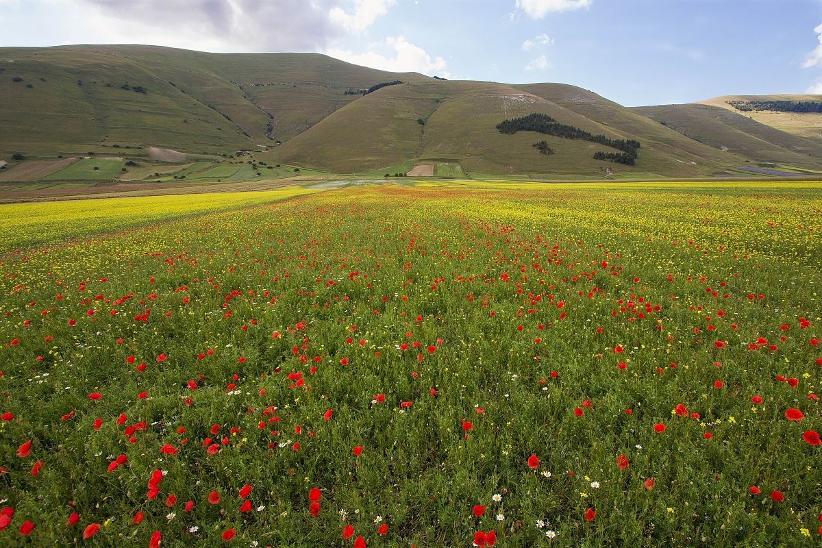 Castelluccio 7