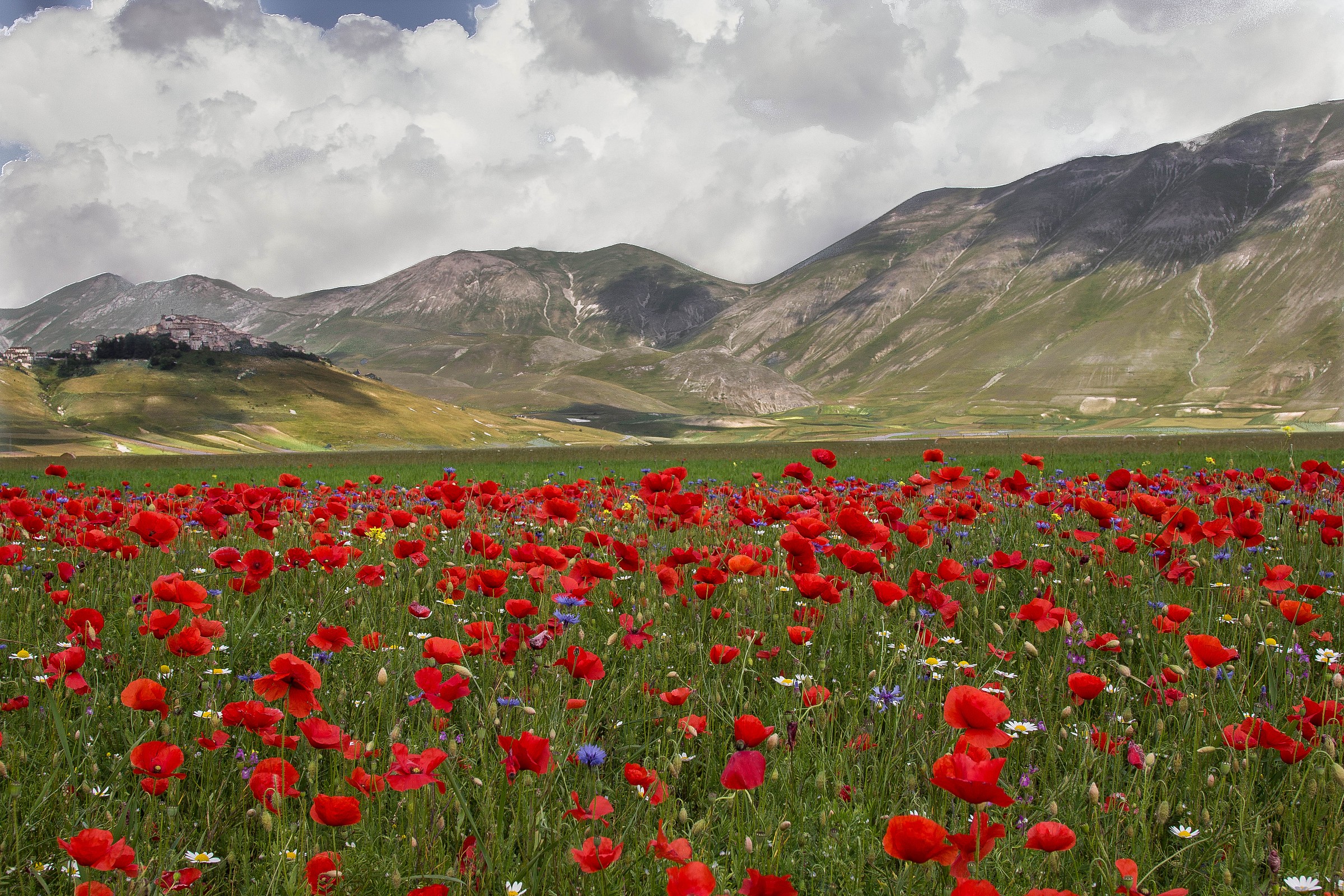 Castelluccio 8