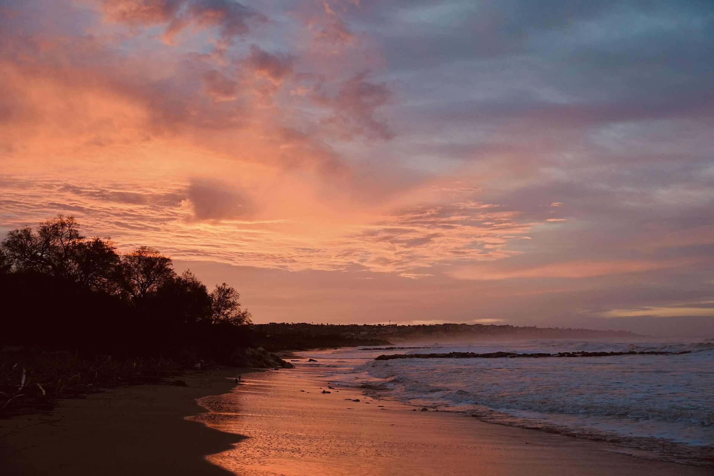 Il giorno dopo Harry