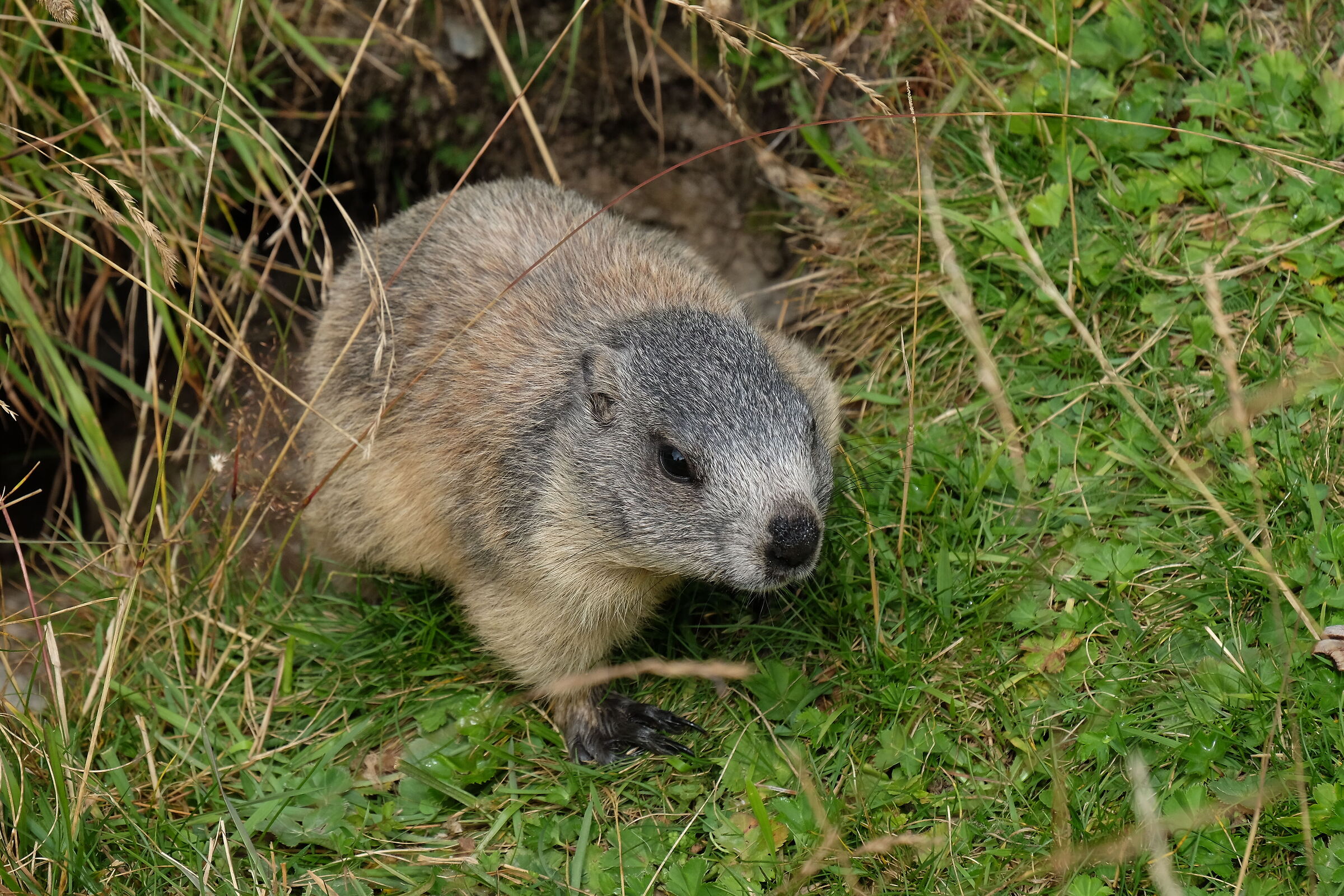 prima uscita di primavera