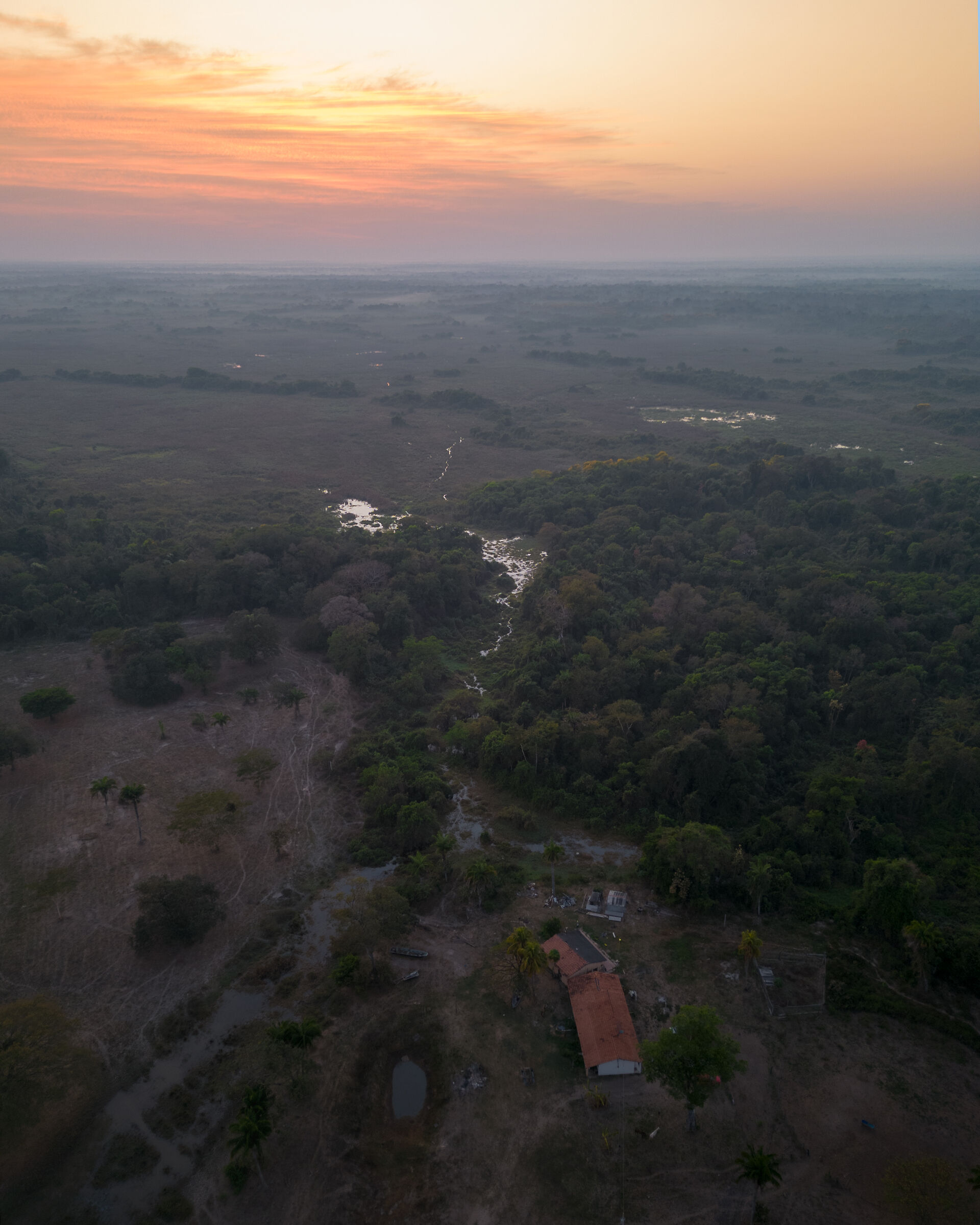 pantanal