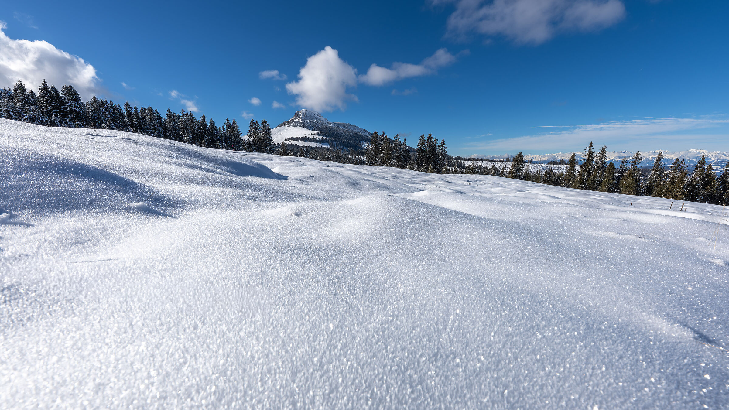 Snow desert