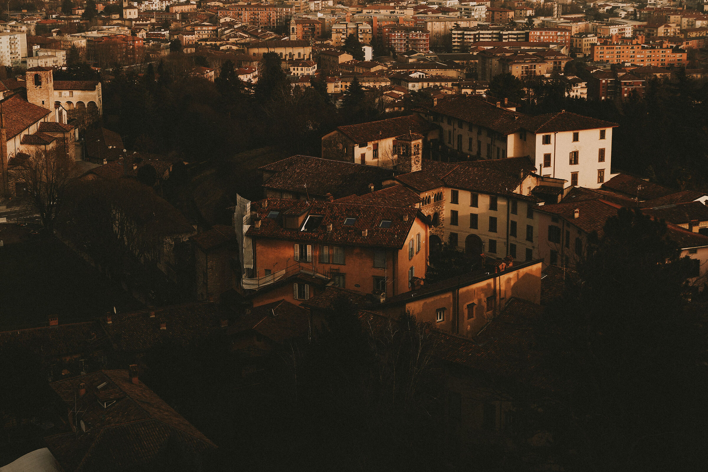 Untitled Photo
