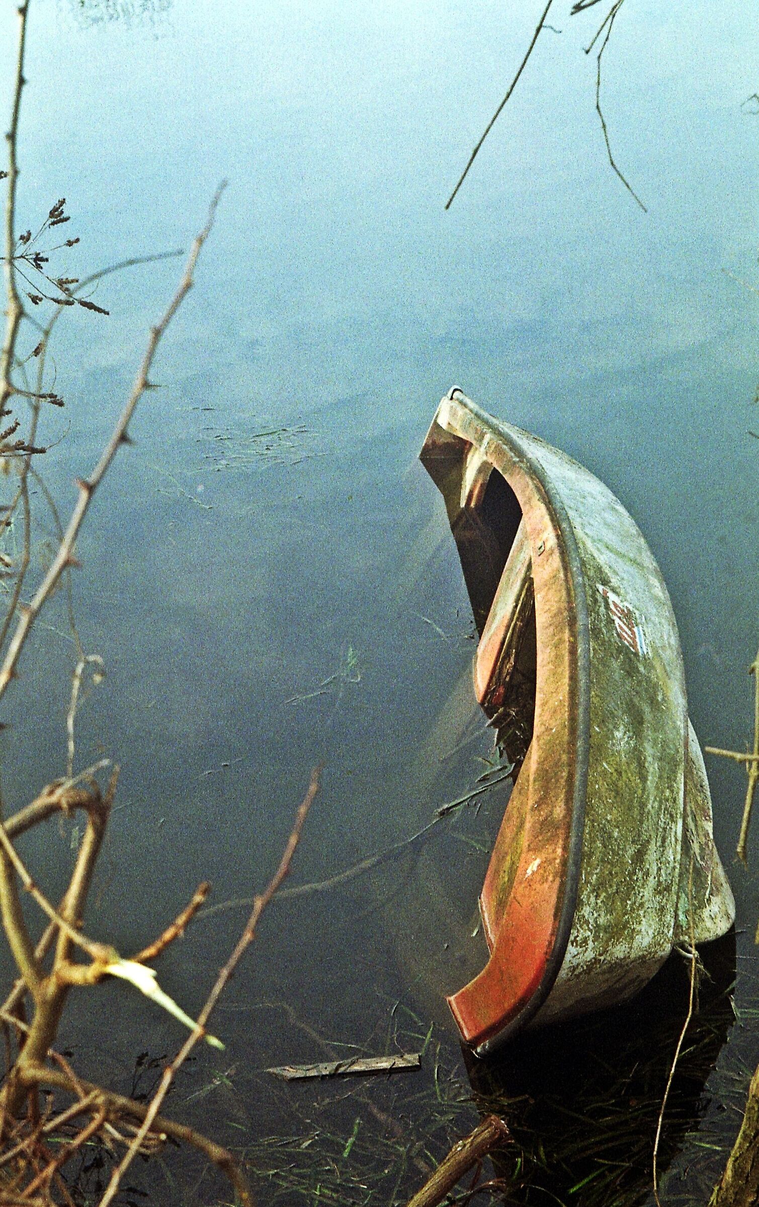 Nature is a language, can't you read? ;/)