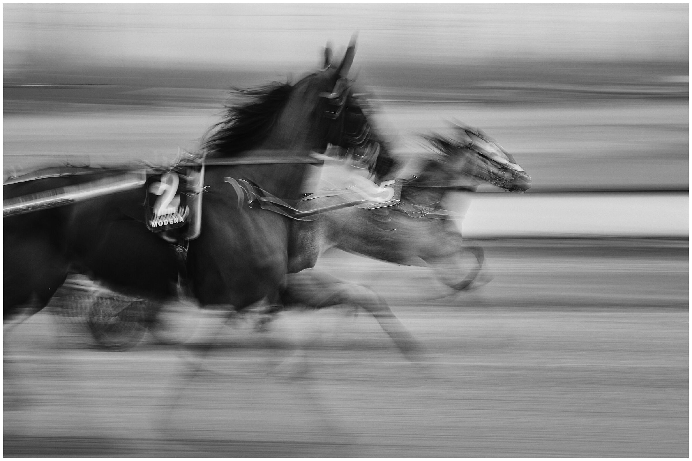 Horses.
