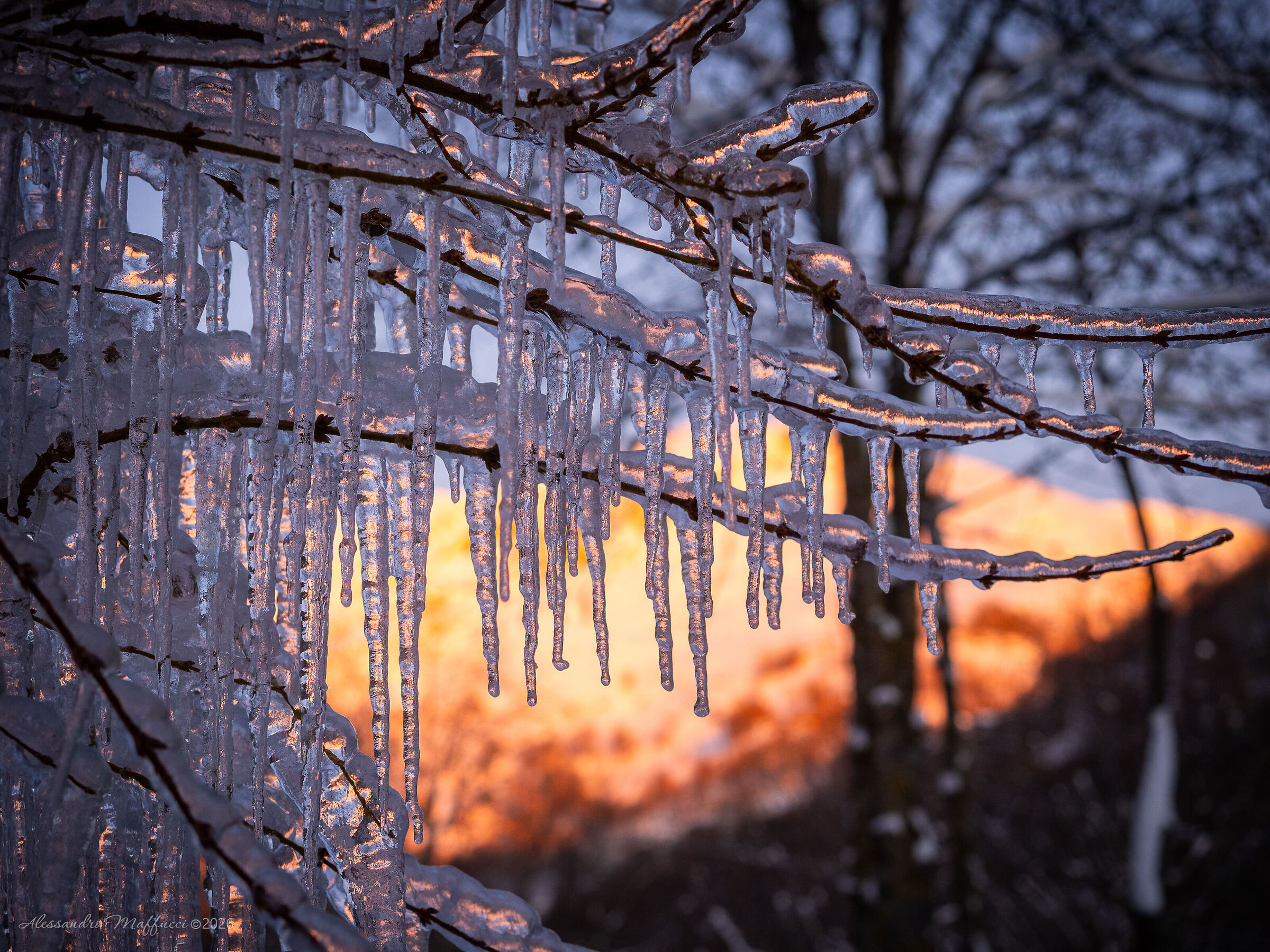 Ice stalactites at dawn...