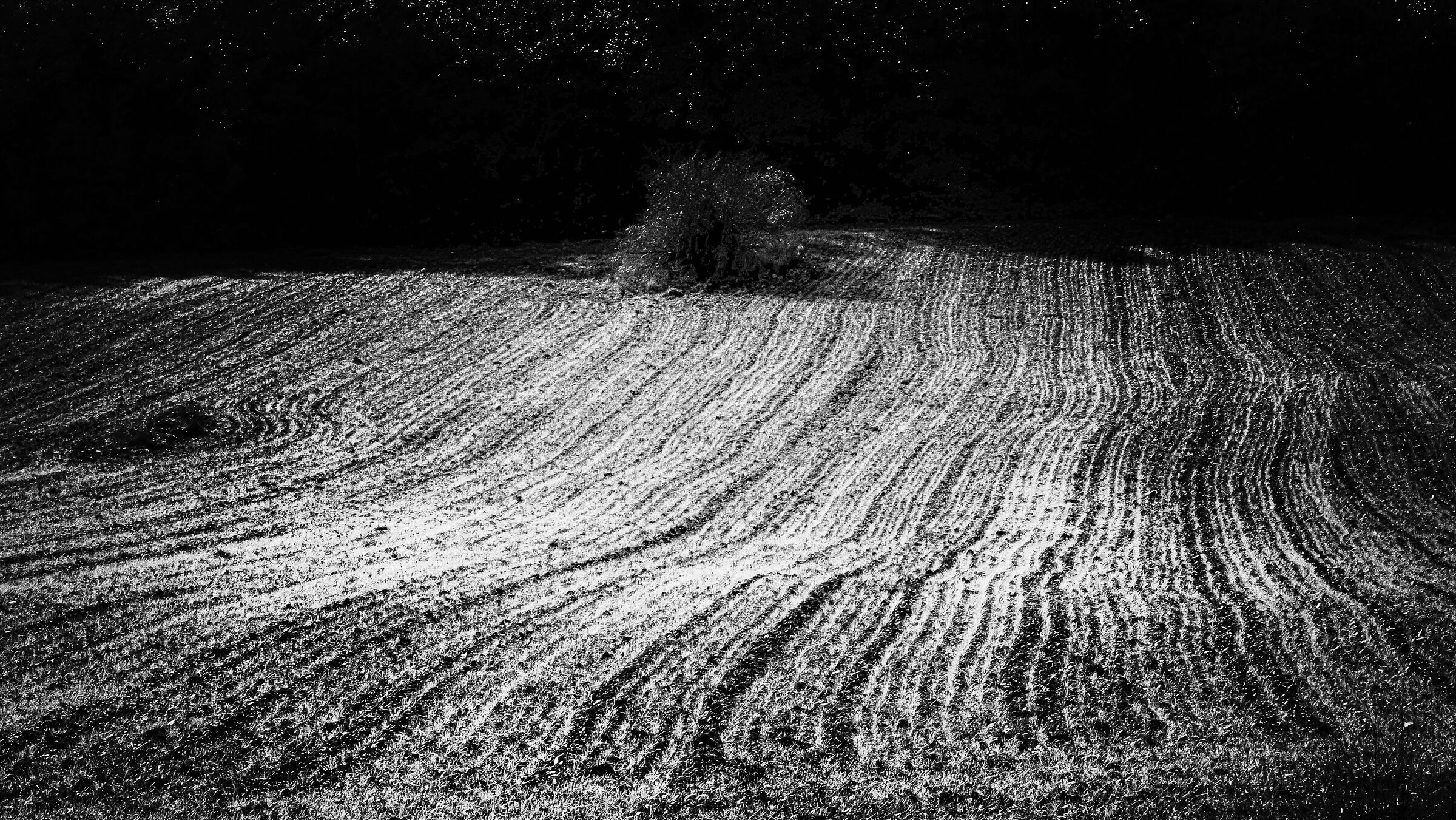 Plowed field in winter