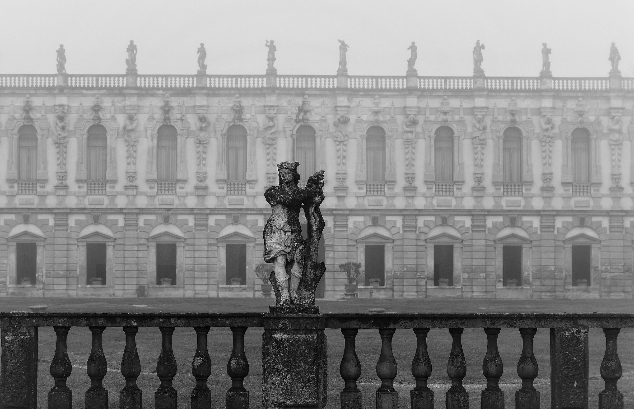 B/W