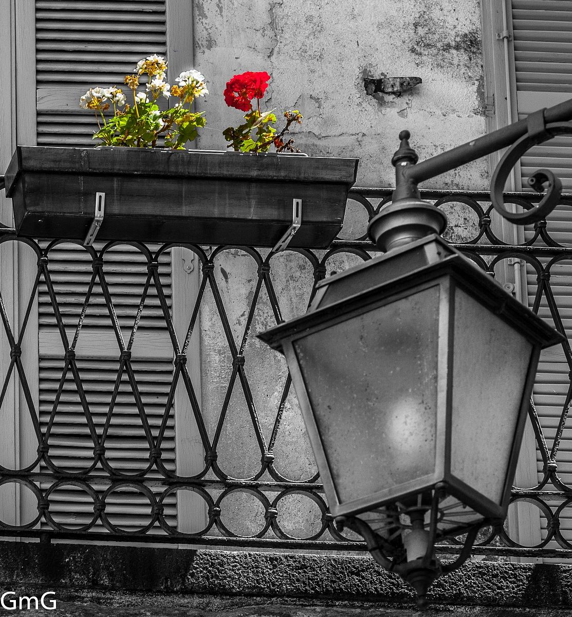 The lamp and the geraniums