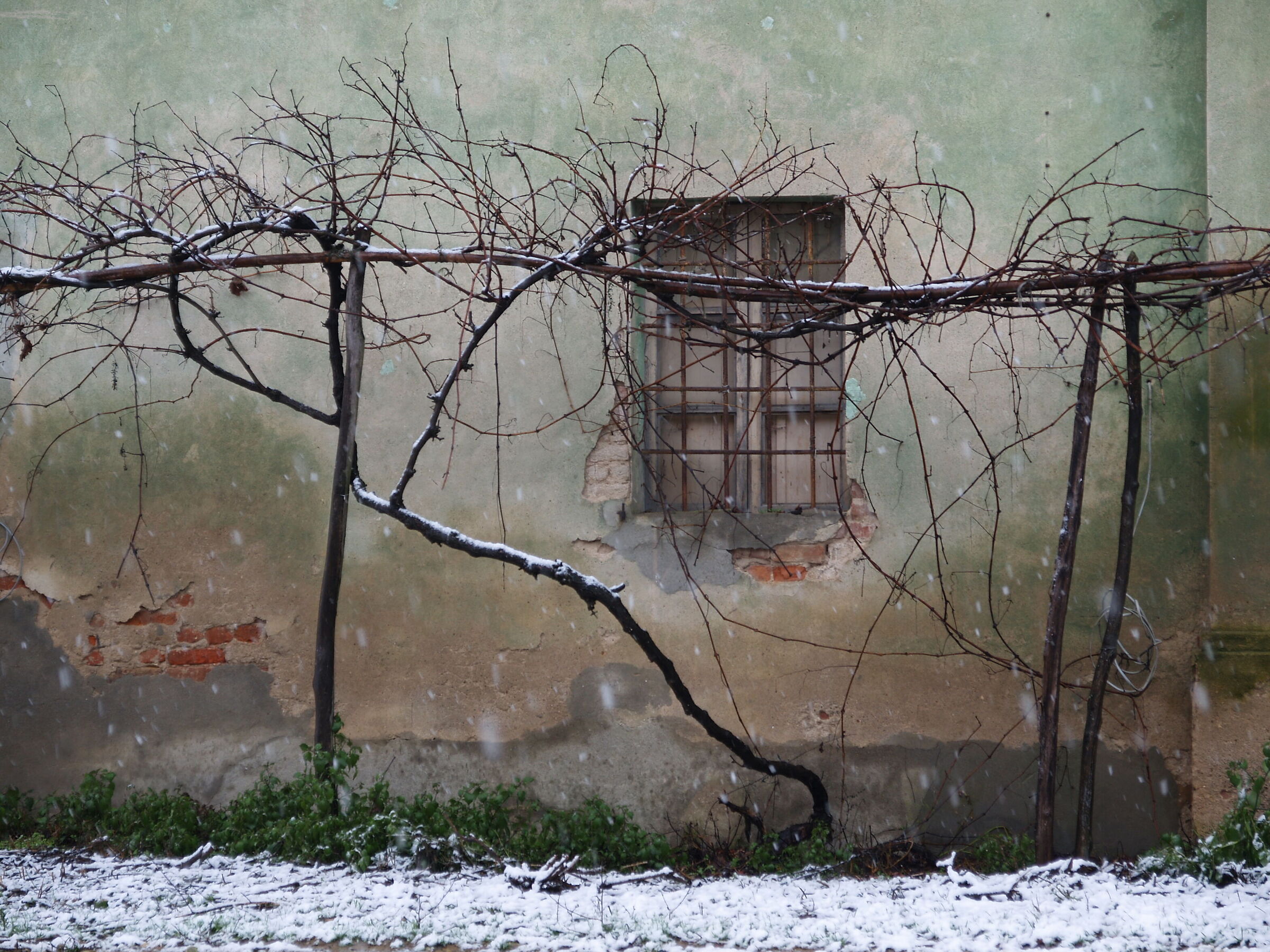 It's snowing in the farmhouse....