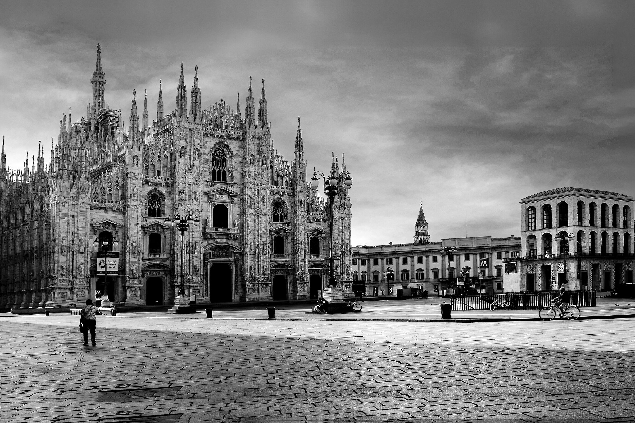 The Cathedral