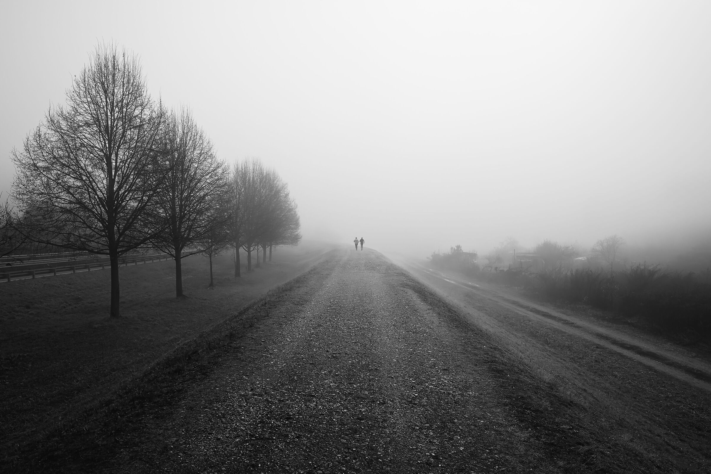 Race through the fog