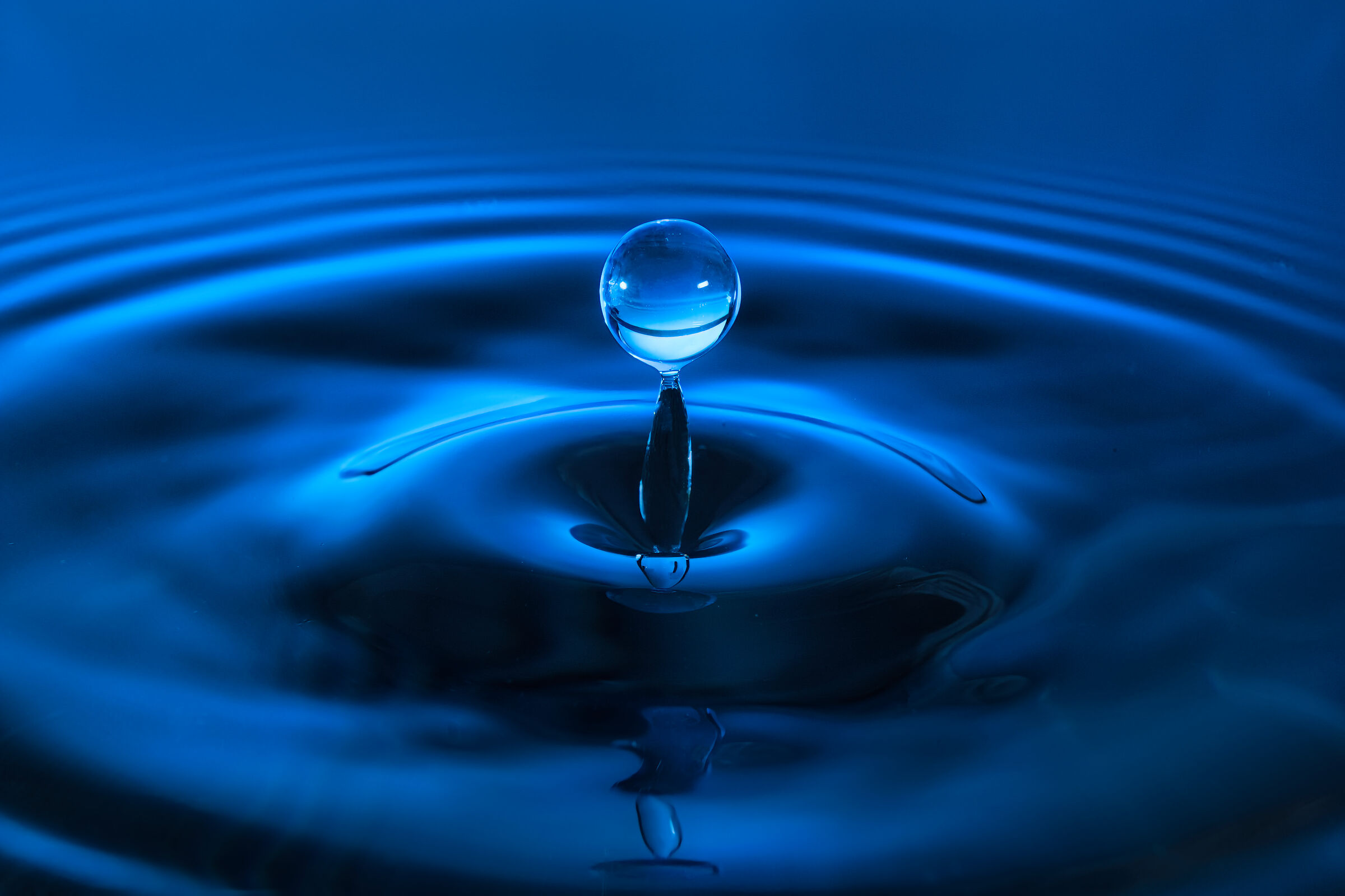 Genio della Lampada_Splash