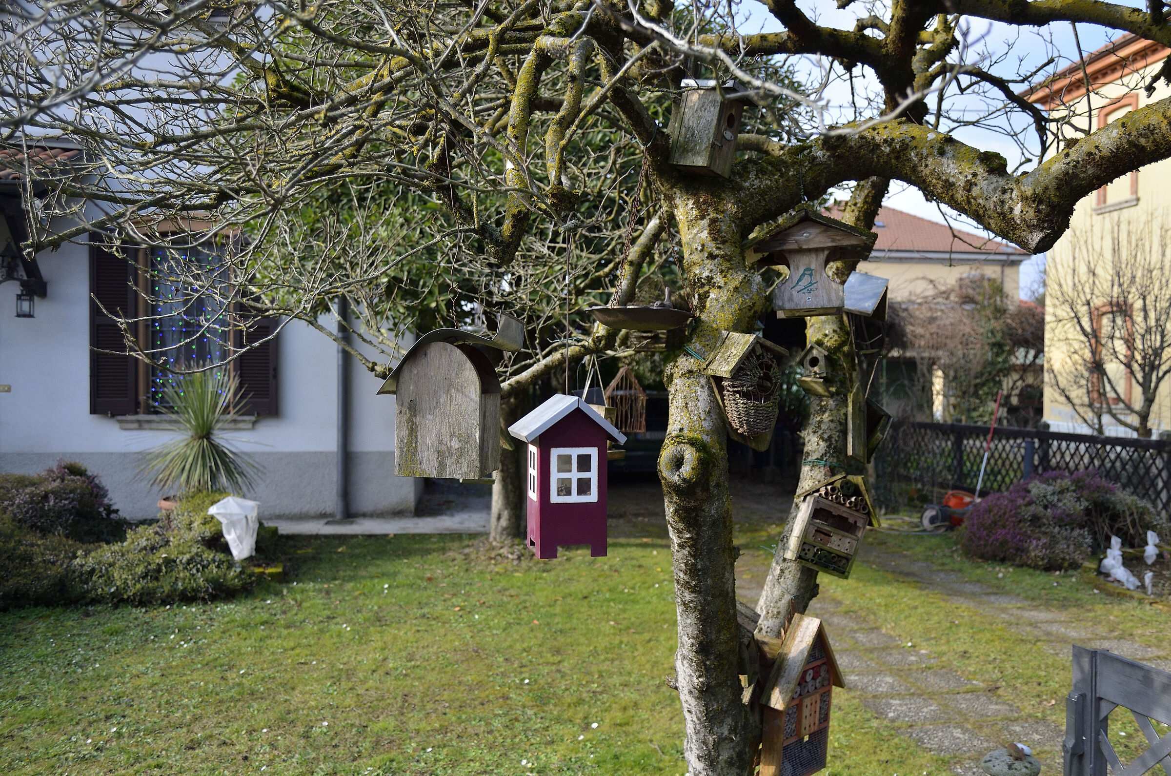 Volatile Condominium - 1