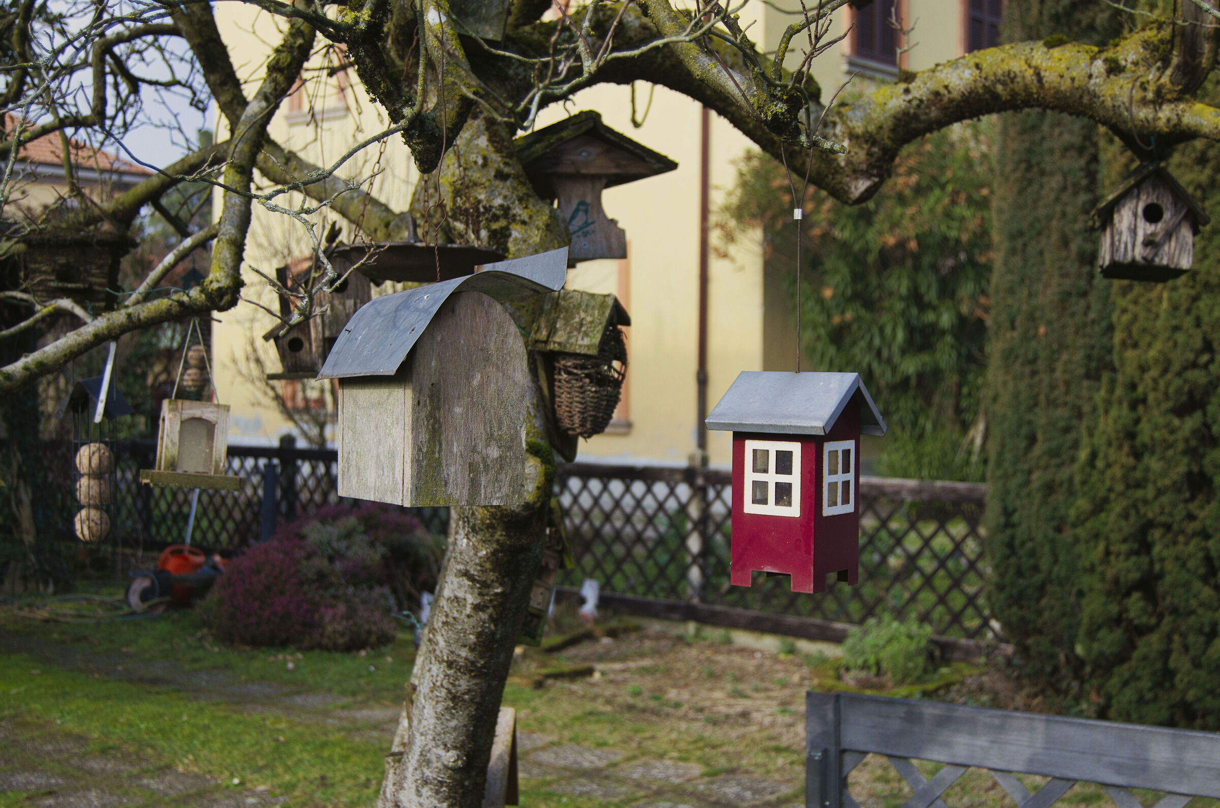 Volatile Condominium - 2