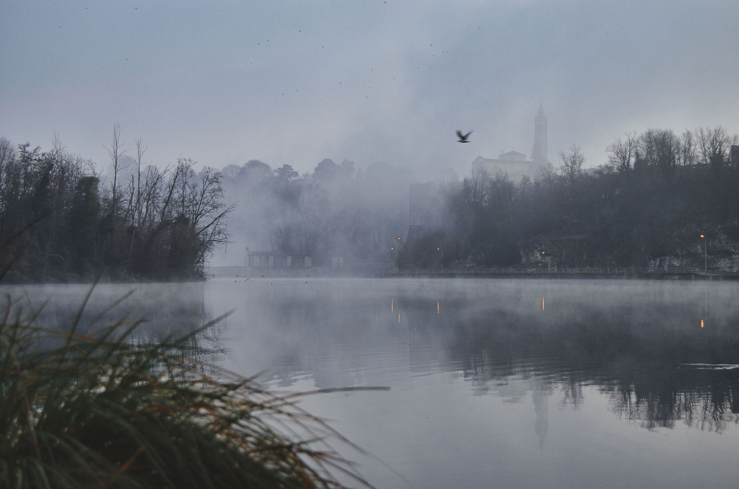 Trezzo sull'Adda - winter 5