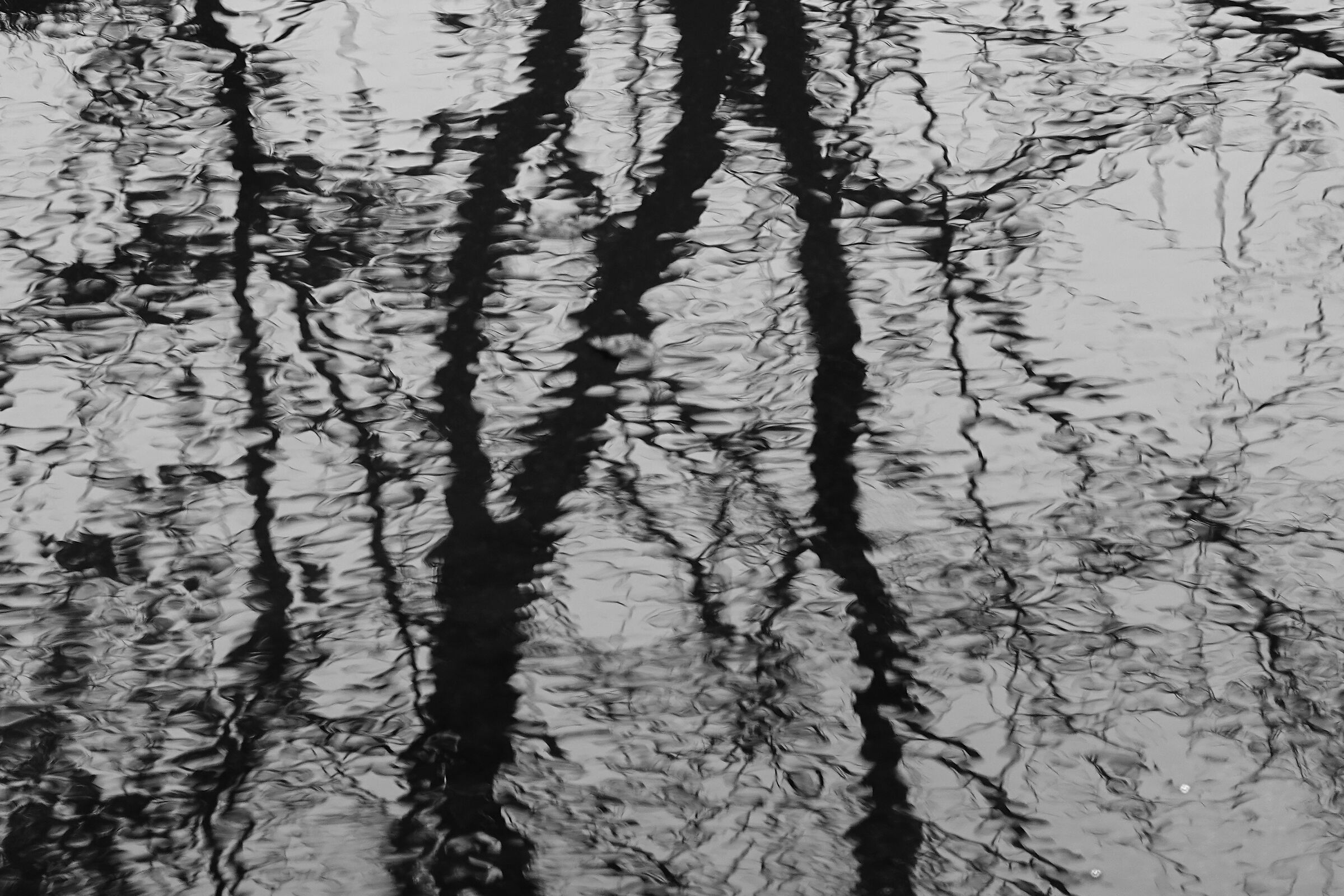 Reflection