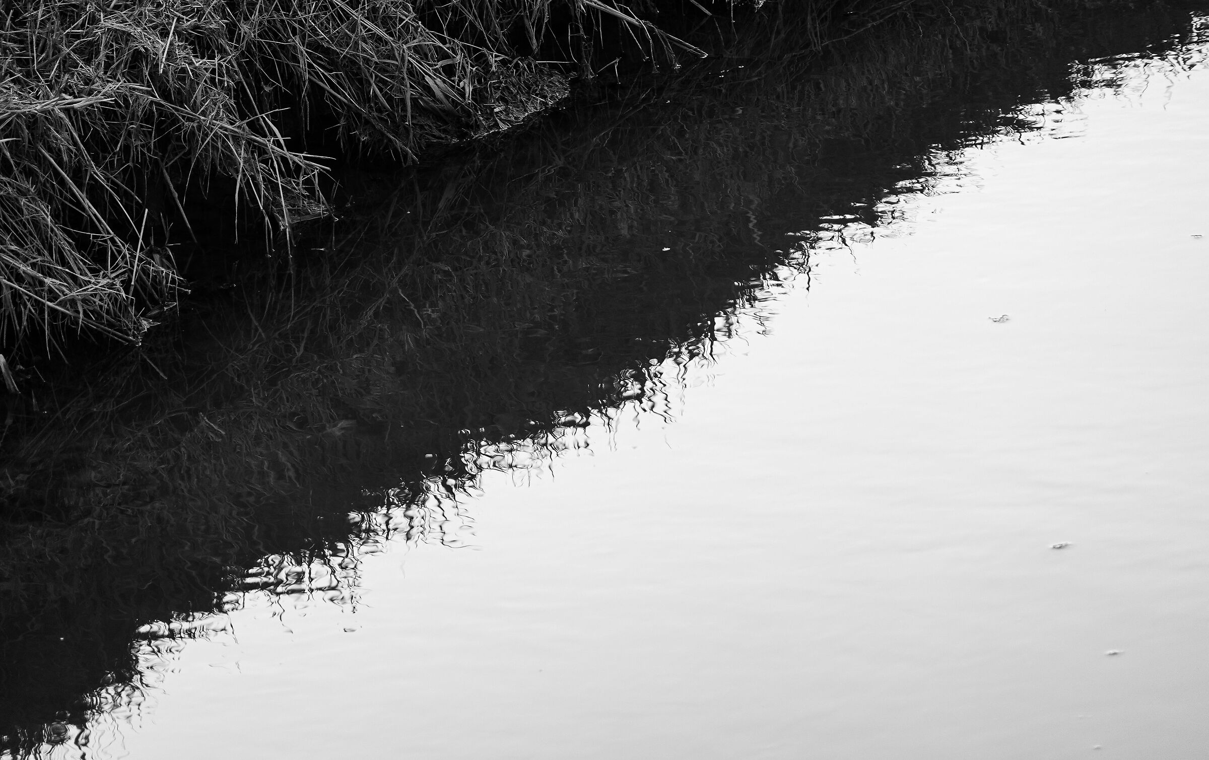 Half Reflex