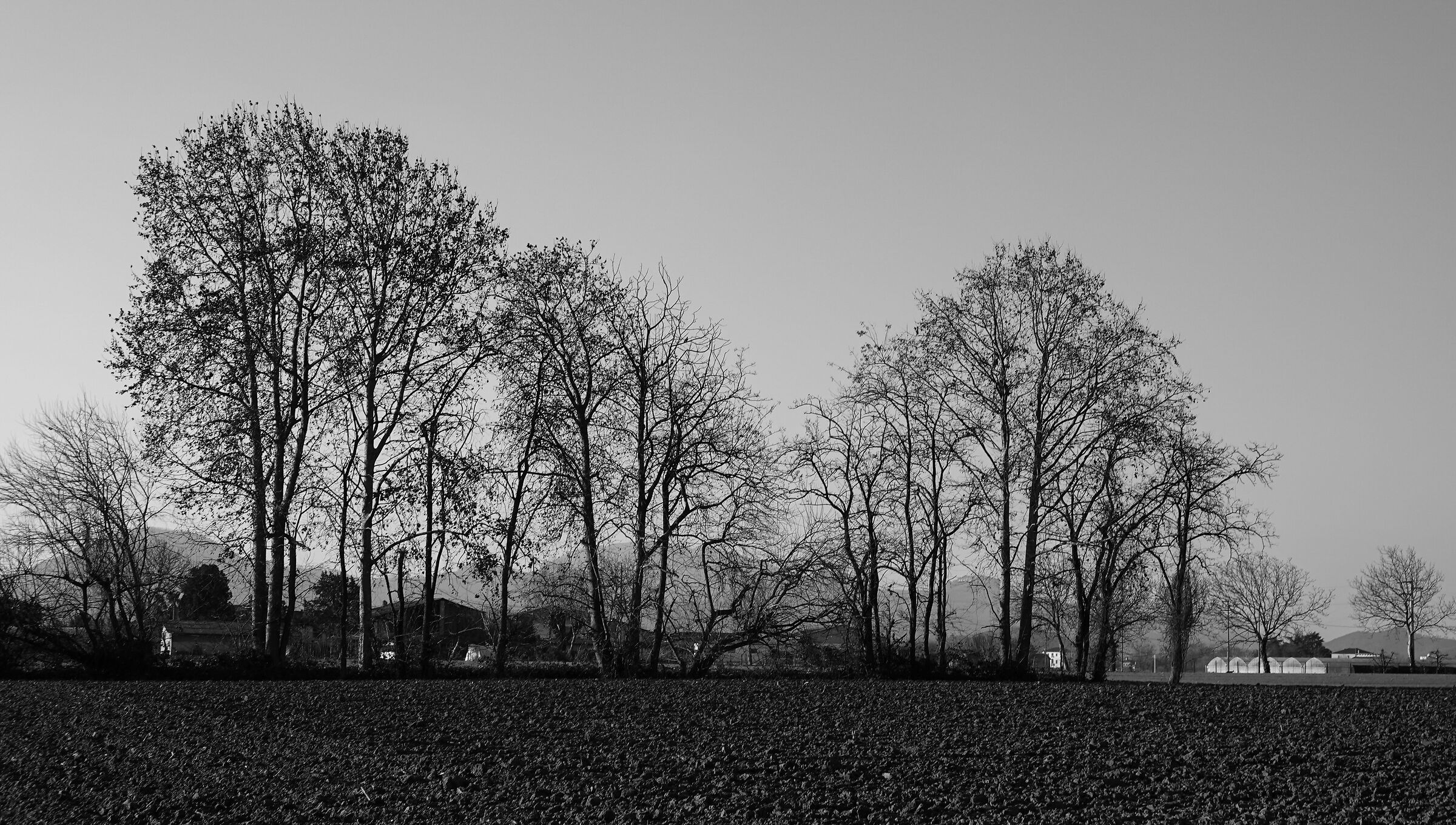 Untitled Photo