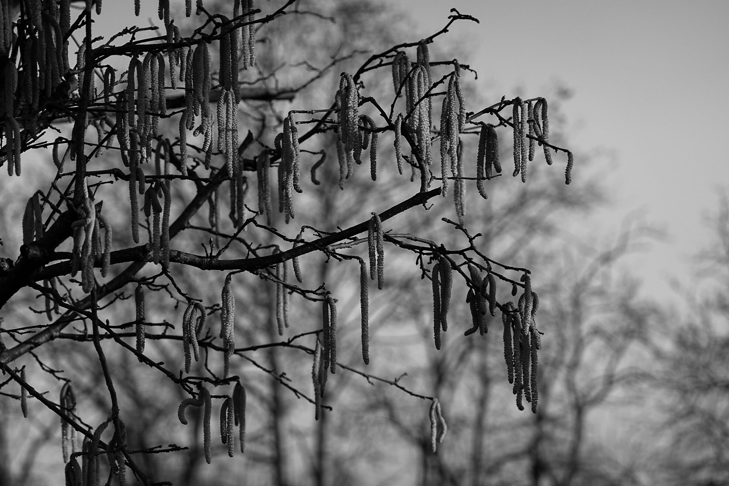 Untitled Photo