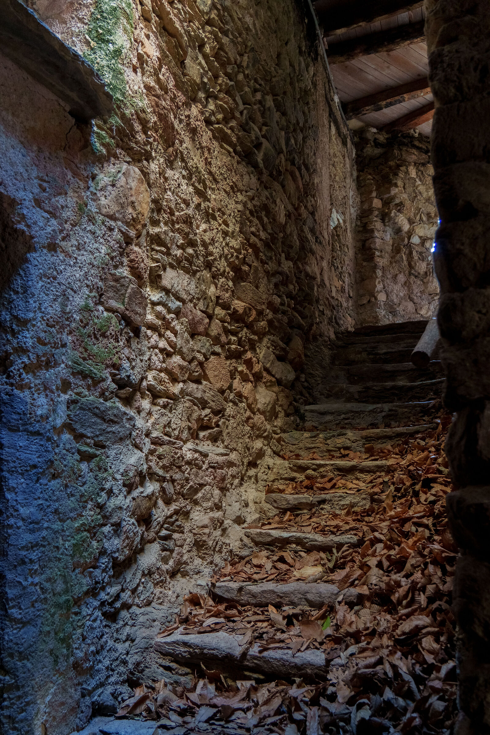 Alley in Castelvecchio di Rocca Barbena