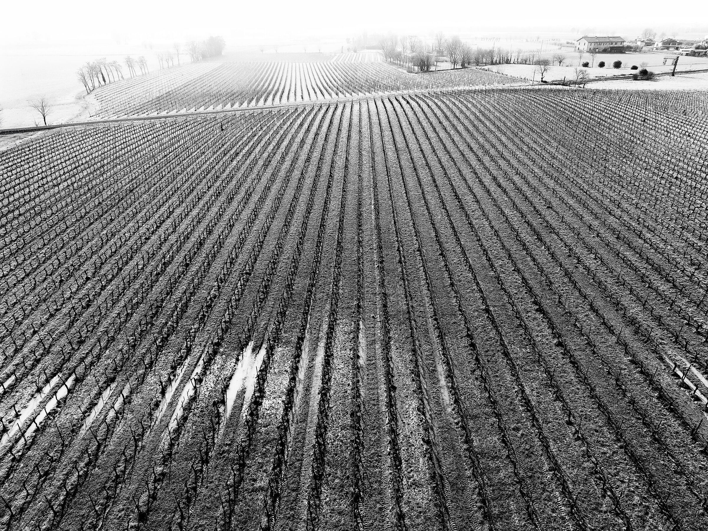 Franciacorta in inverno