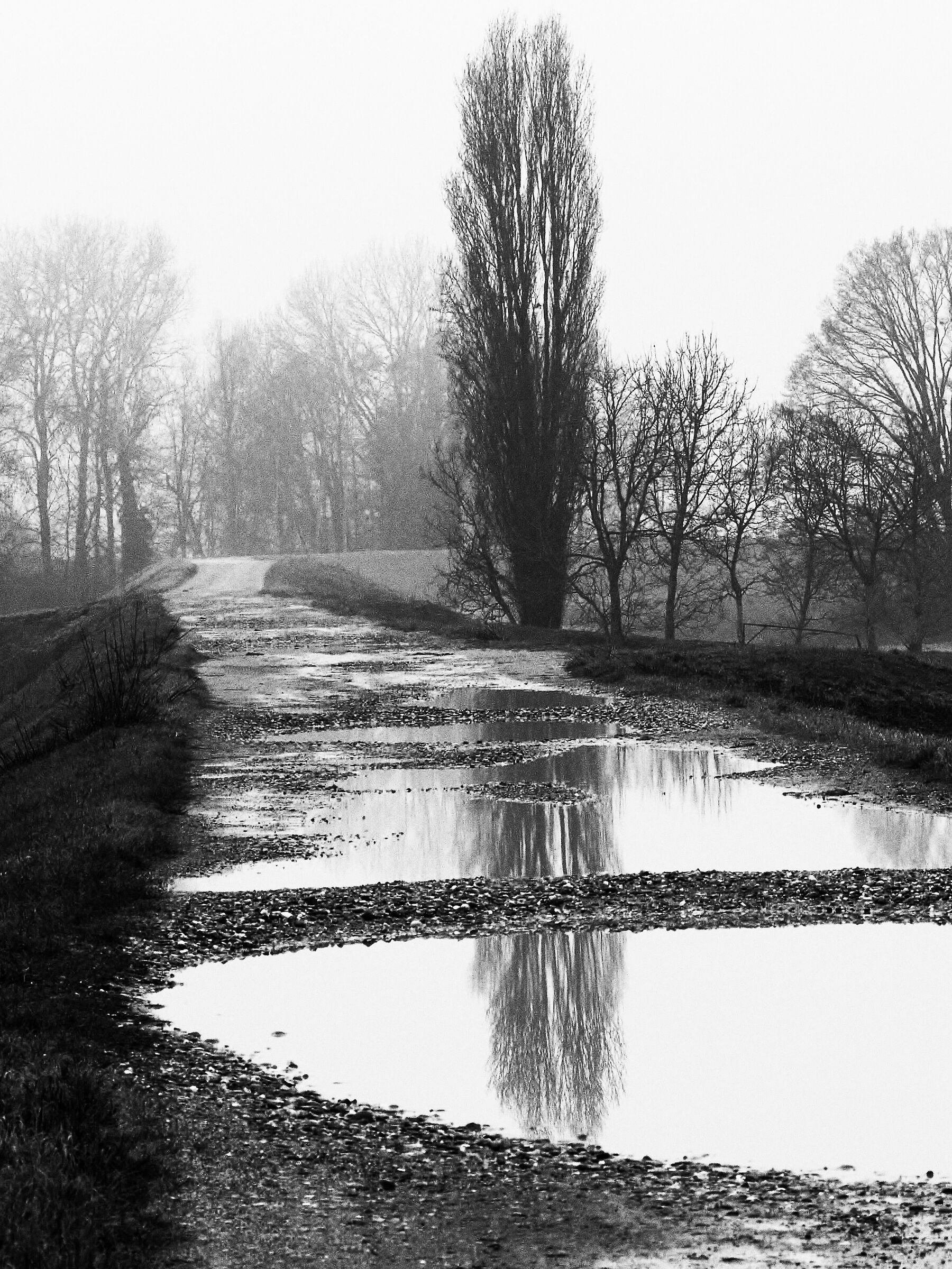 Febbraio, lungo l'argine di Po
