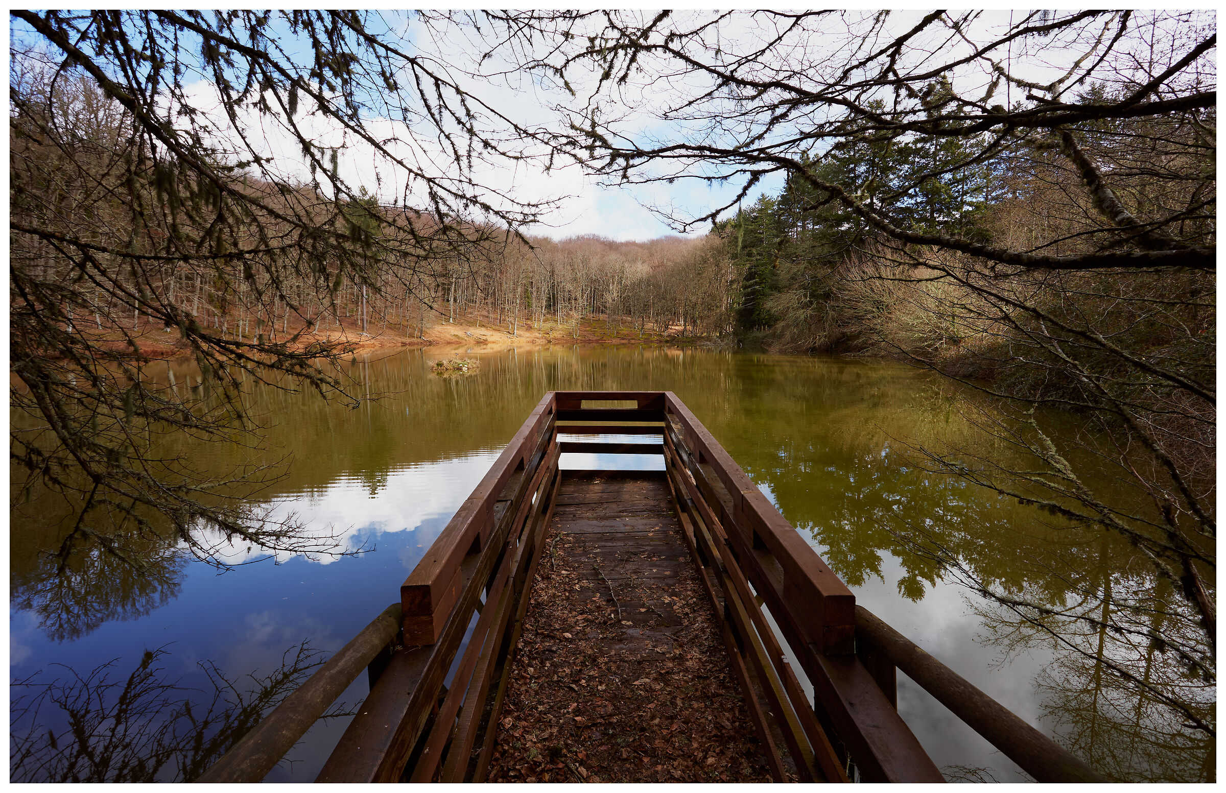 Umbrian Pond