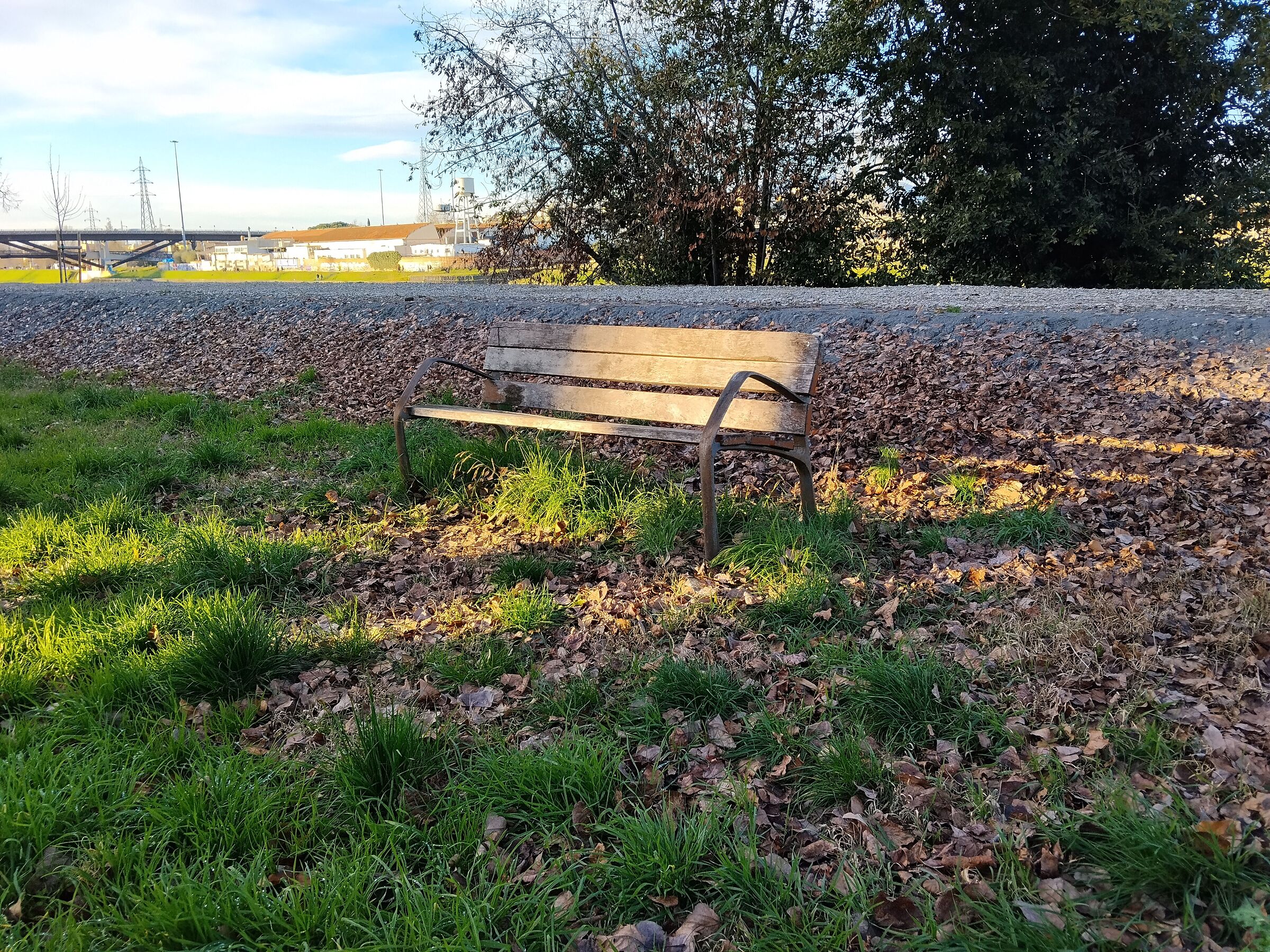 Lonelyless