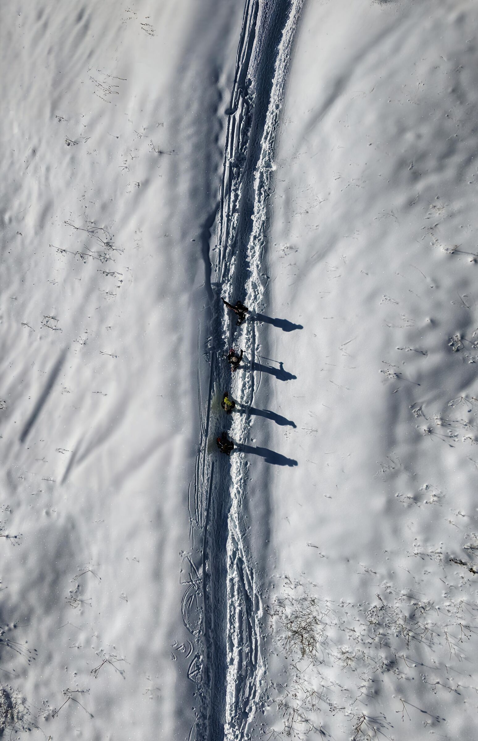 Ombre nella neve