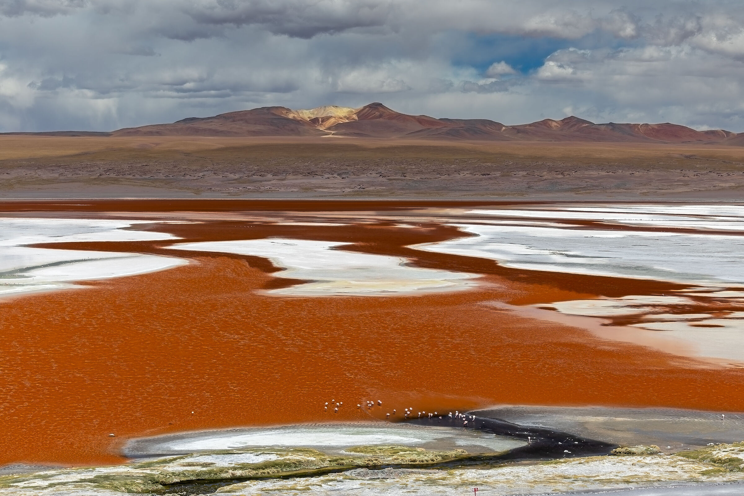 Laguna colorada Bolivia