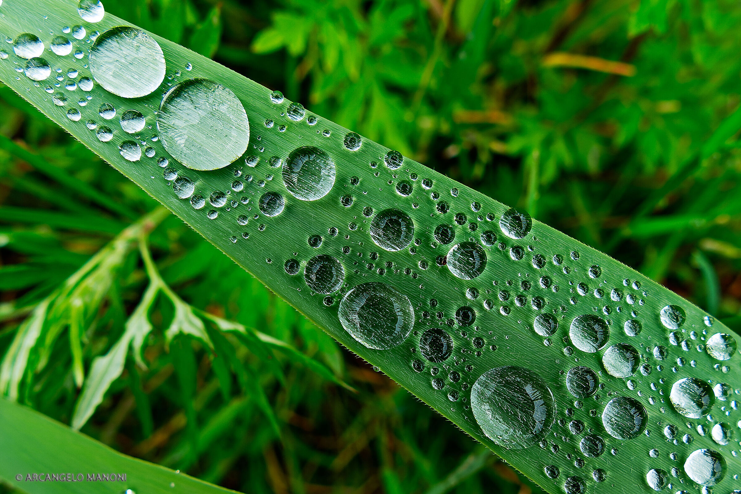Il ponte delle gocce