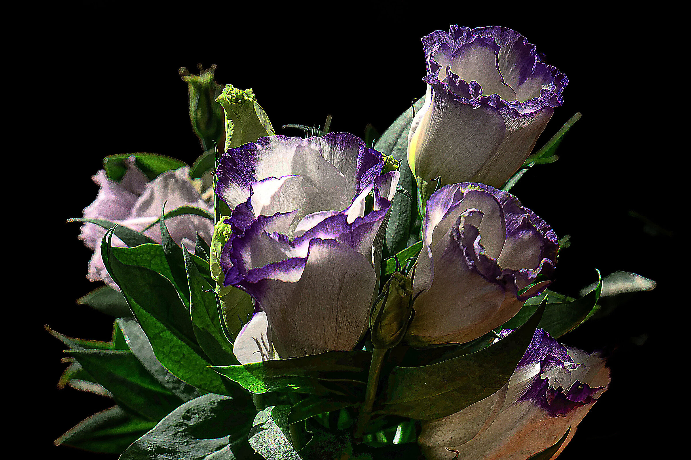 Bouquet di fiori di Lisianthus