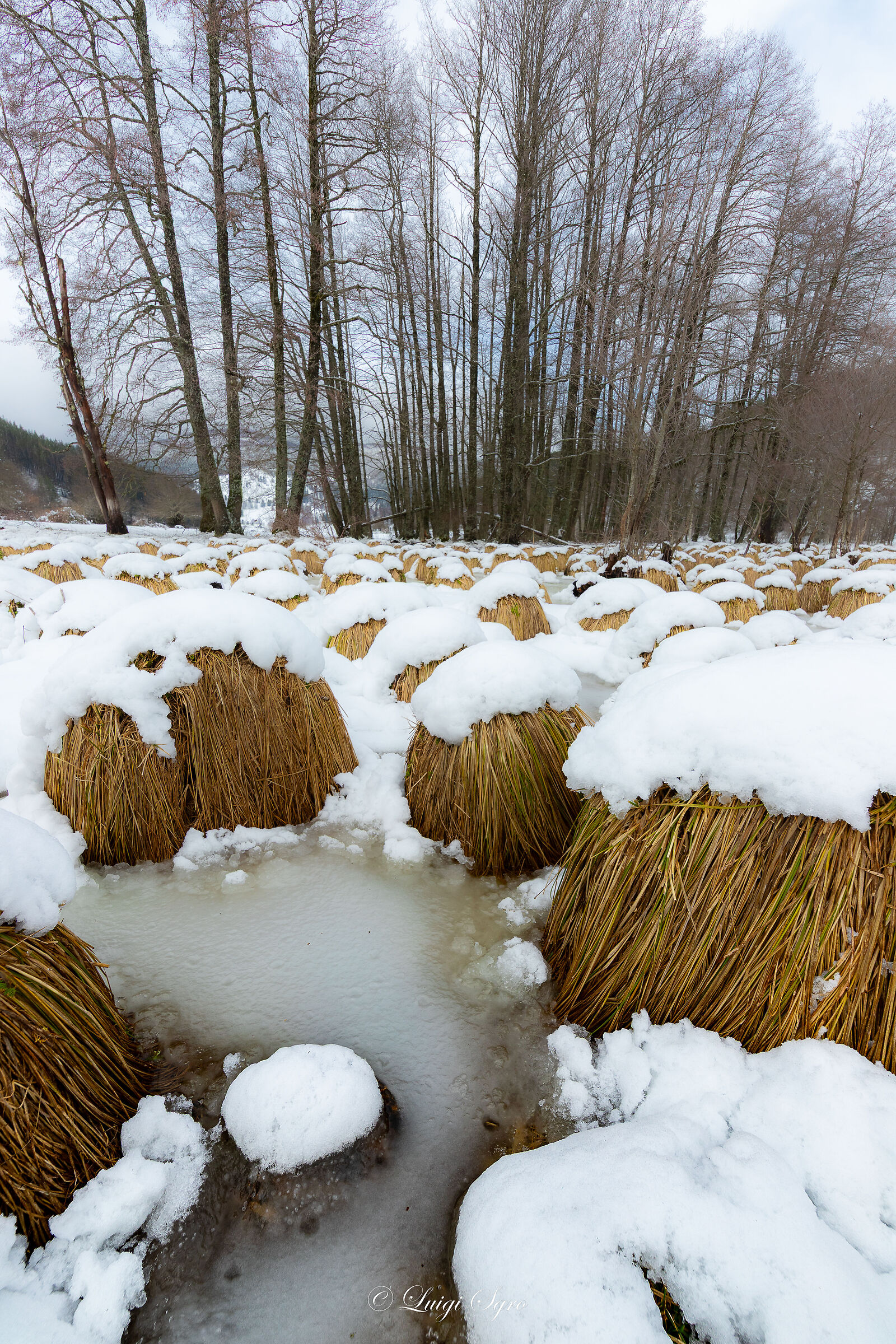 Coreografia insolita sulla neve