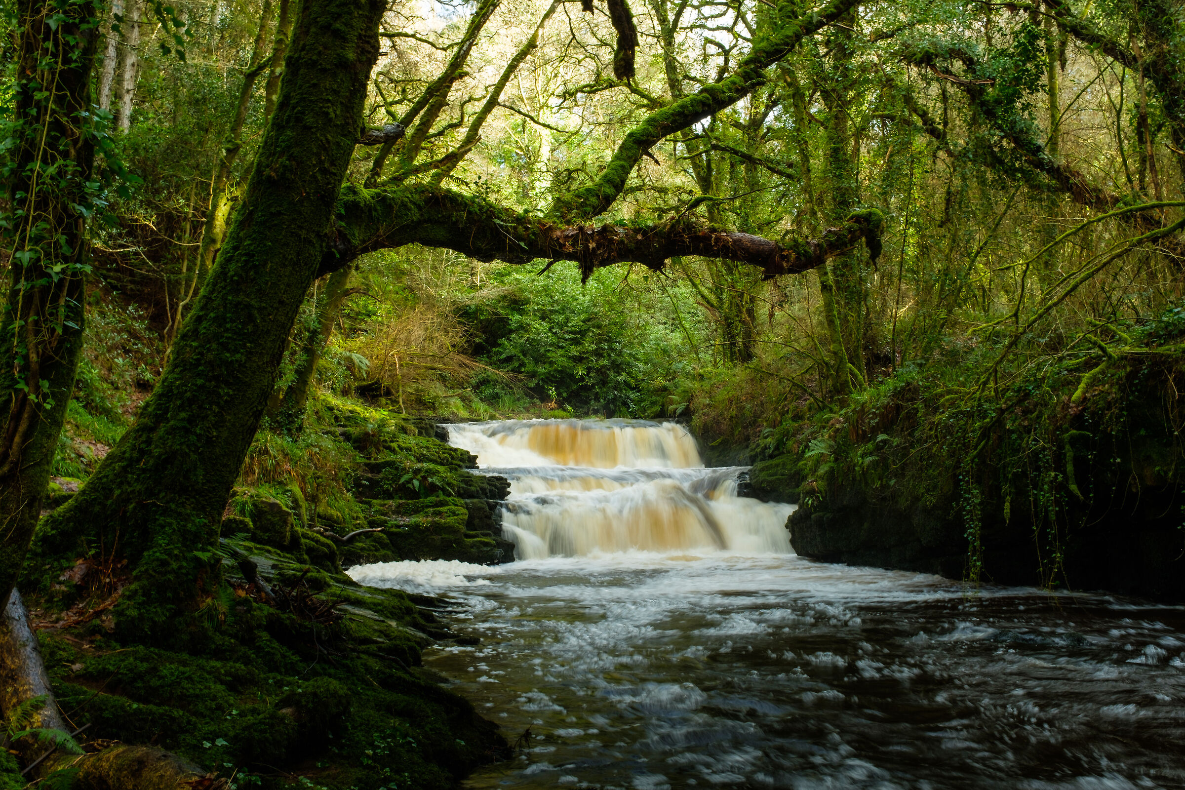 Clare Glens River