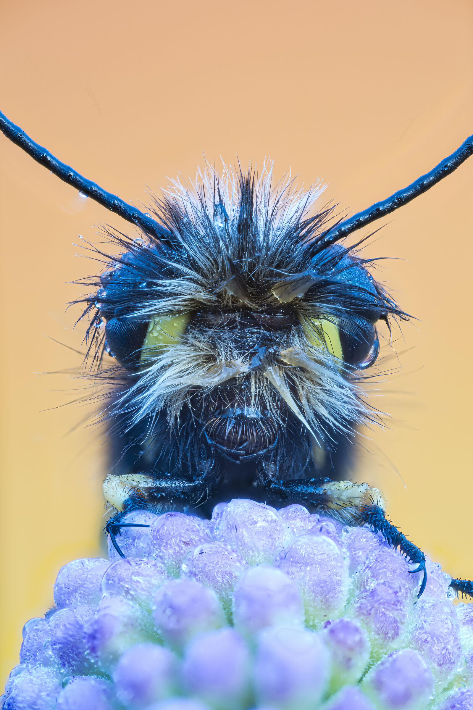 Risveglio tempestoso