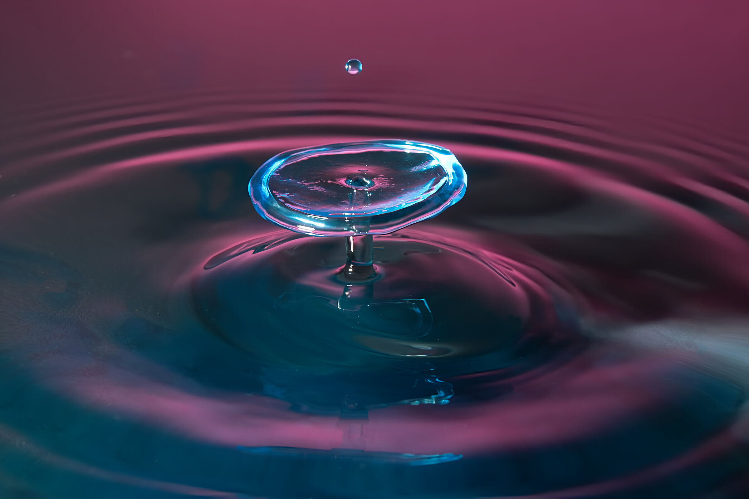 Glass of Rosè_Splash Wine