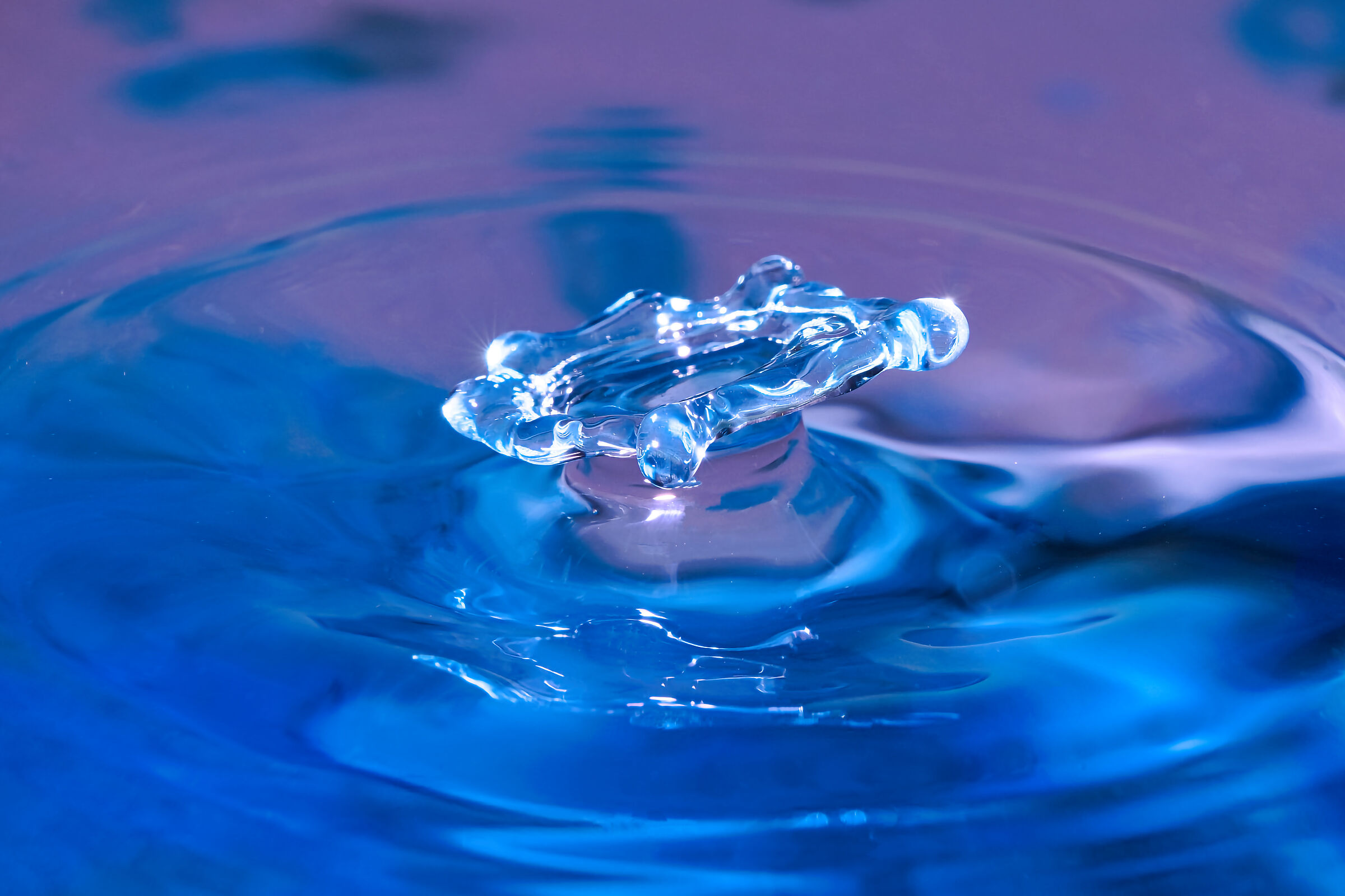 Shutter Rubinetto_Splash