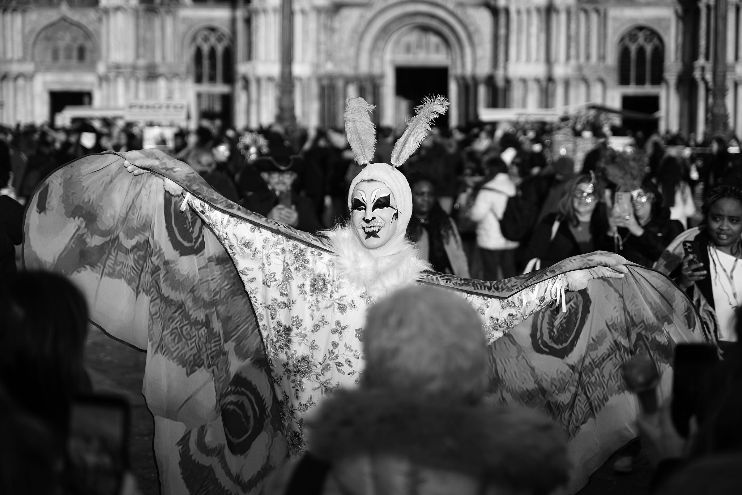 The moth