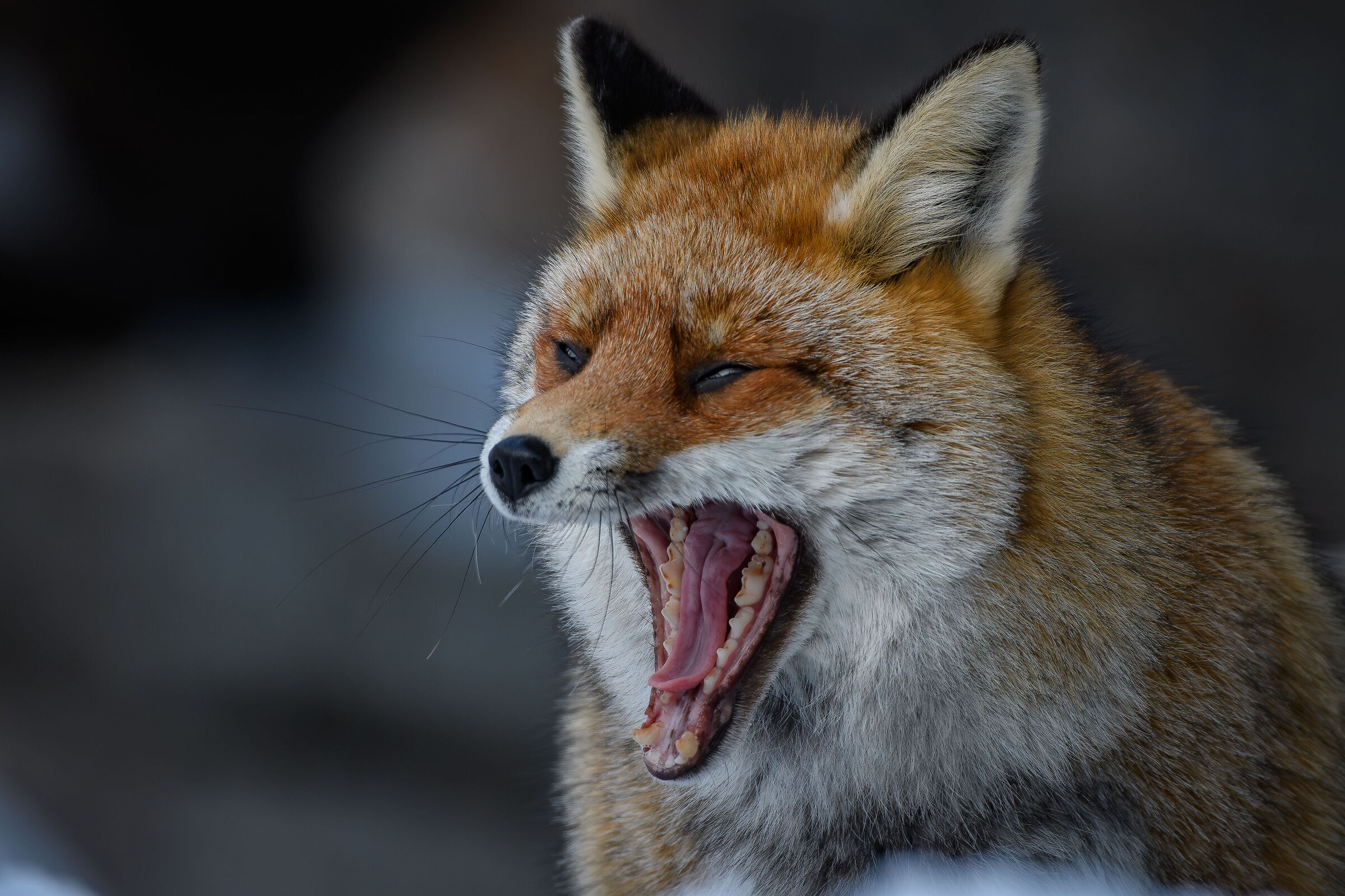 Hunger