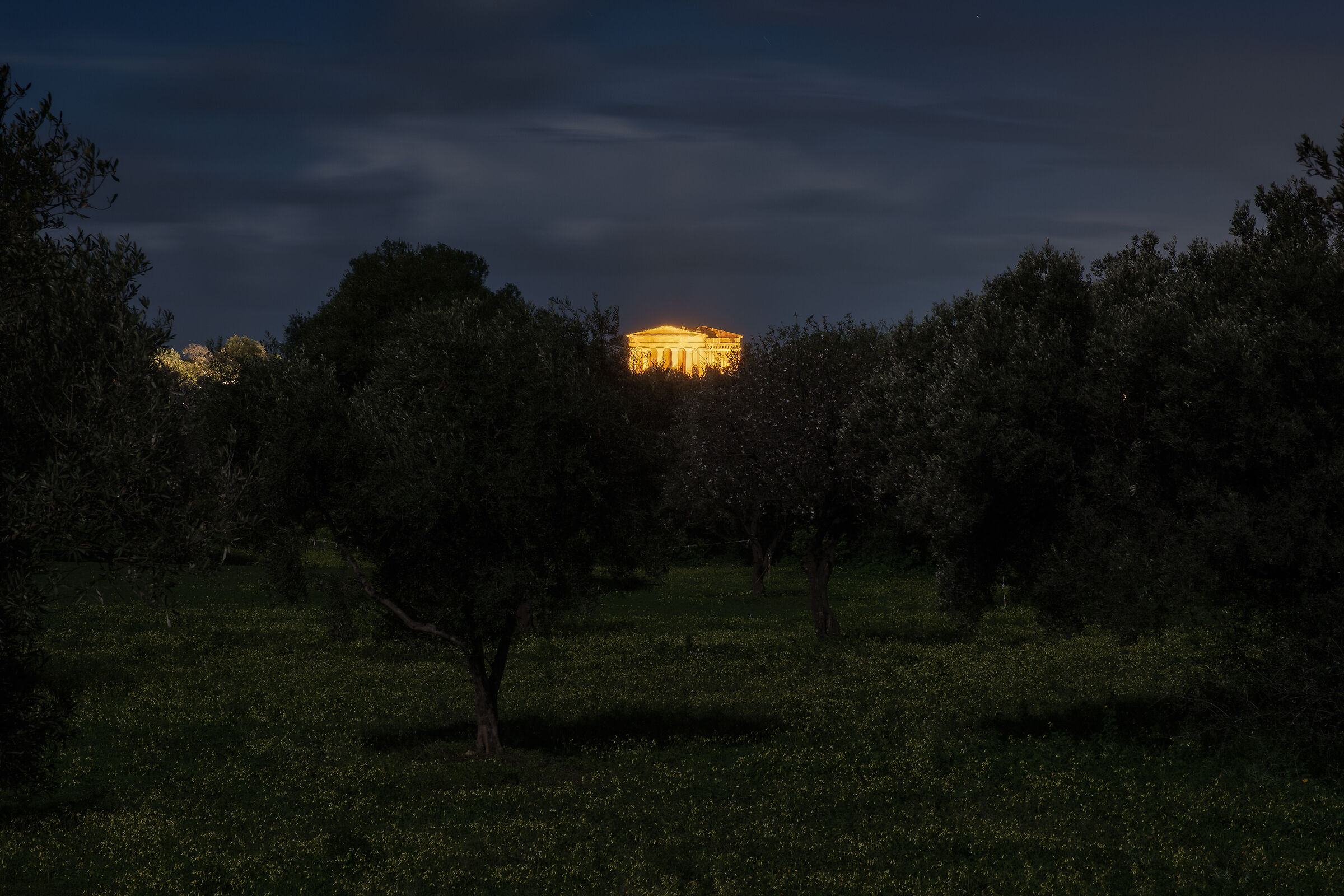 Between almond trees and history