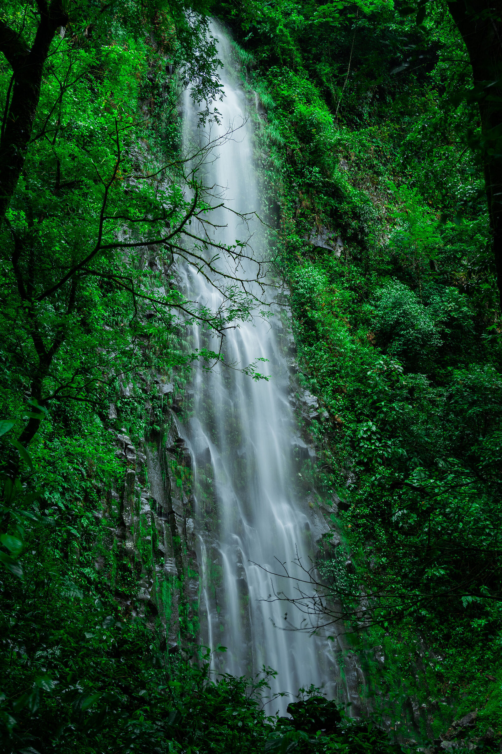 A beautiful fall - La Fortuna