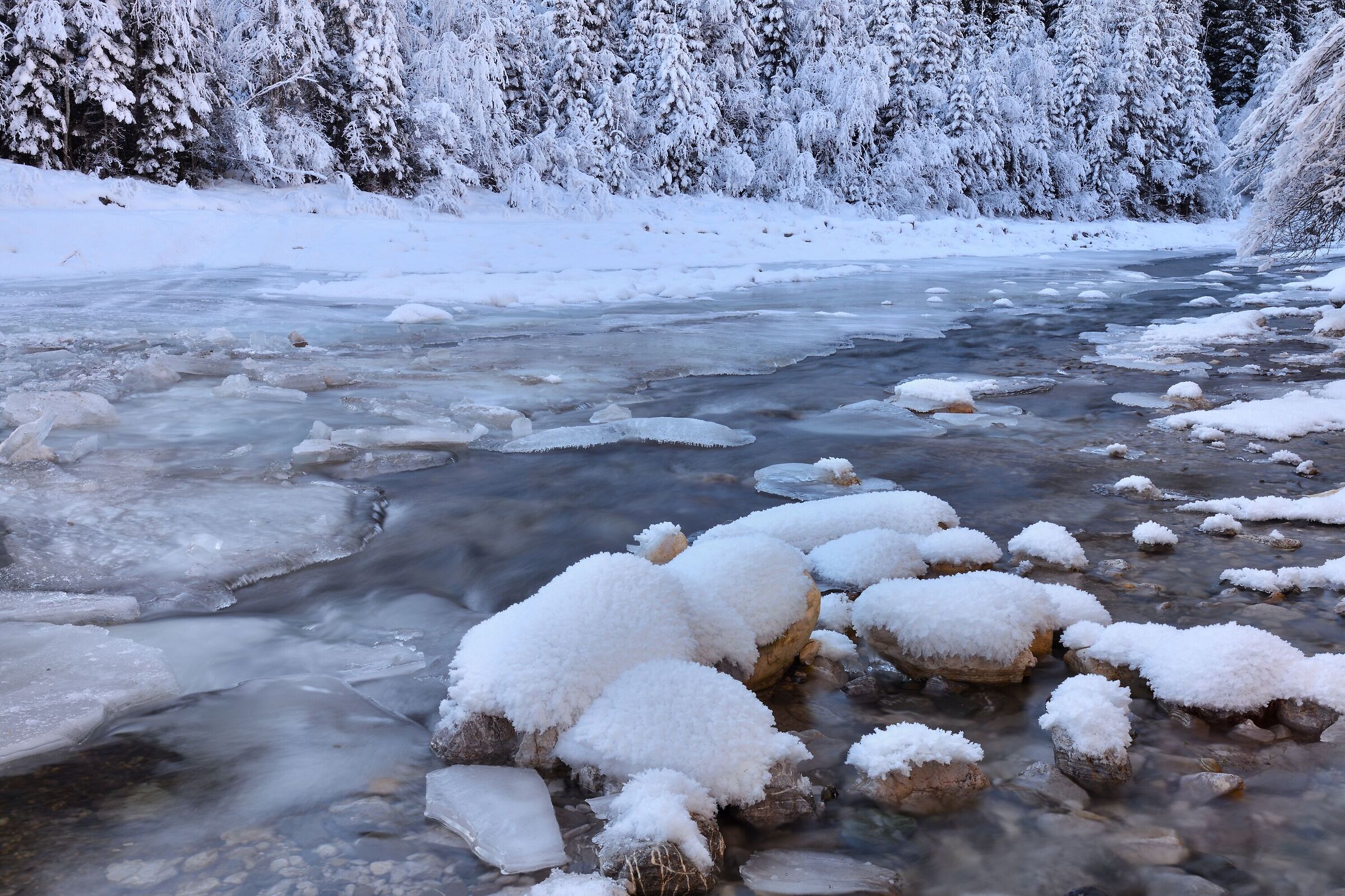 the frozen Piave...